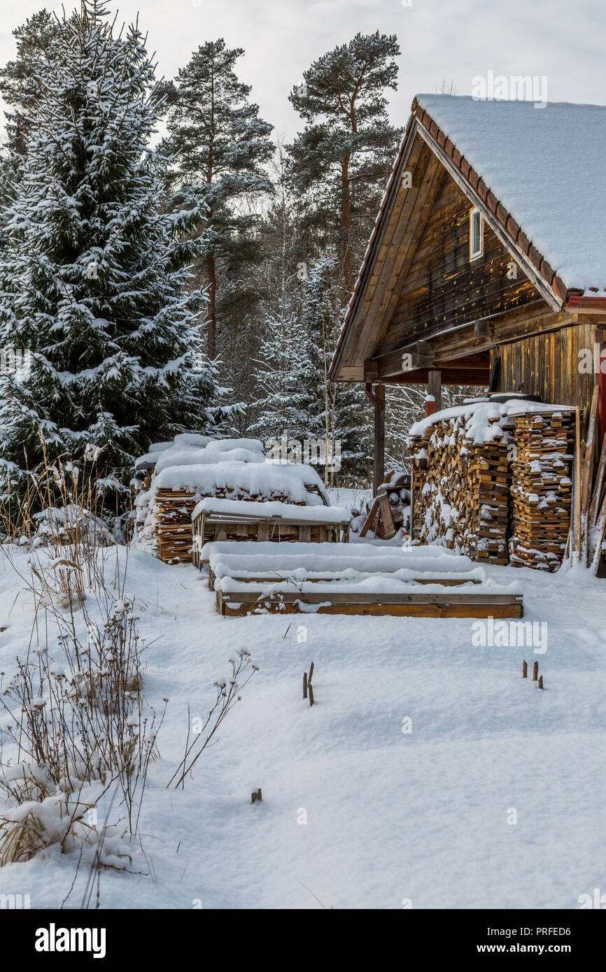 Casa in legno nella foresta di inverno Foto Stock