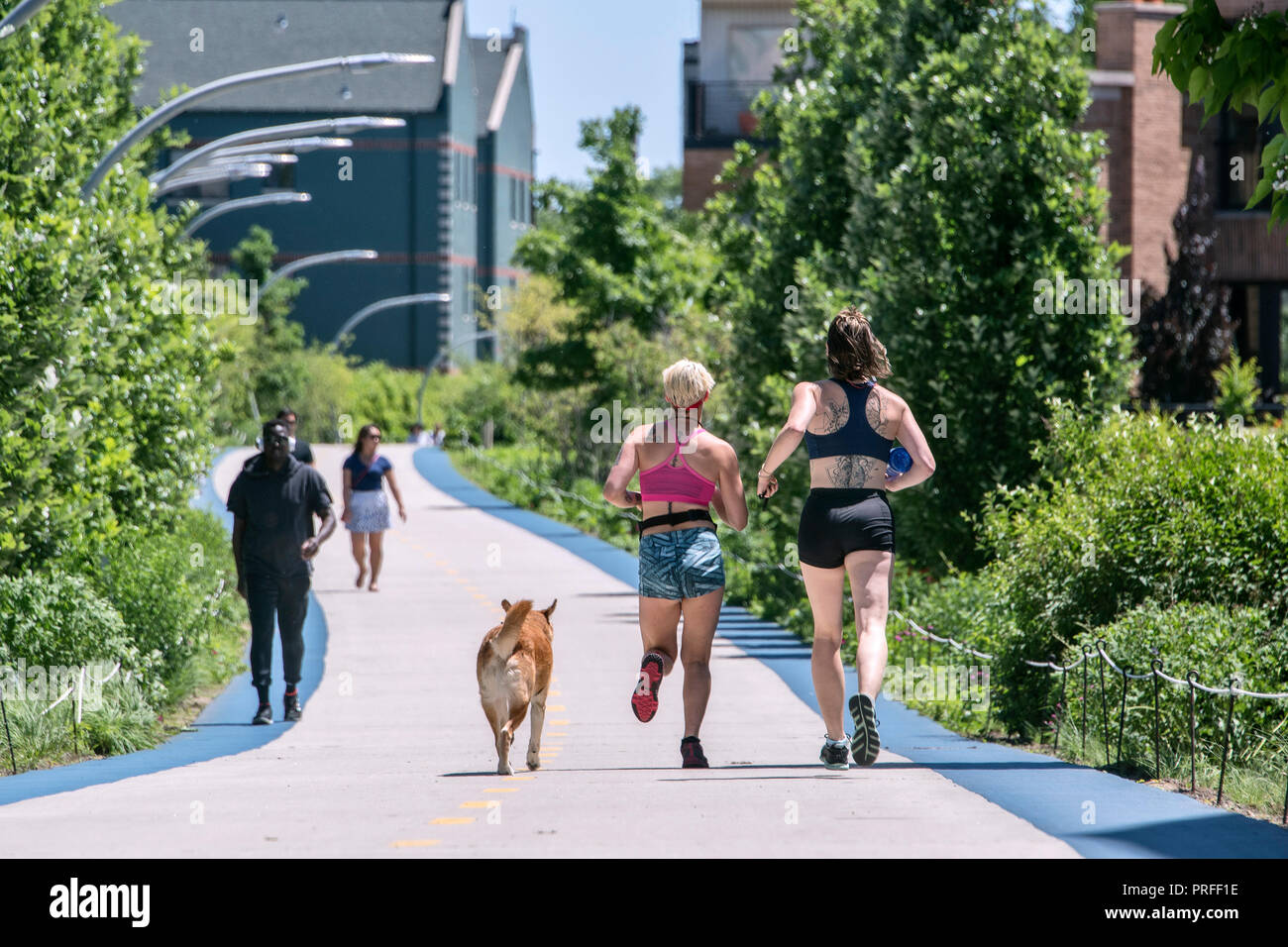 La 606, ex elevata linea ferroviaria, greenway per pedoni e ciclisti dal 2015, Bloomingdale Trail, Wicker Park, Chicago, Illinois, Stati Uniti d'America Foto Stock