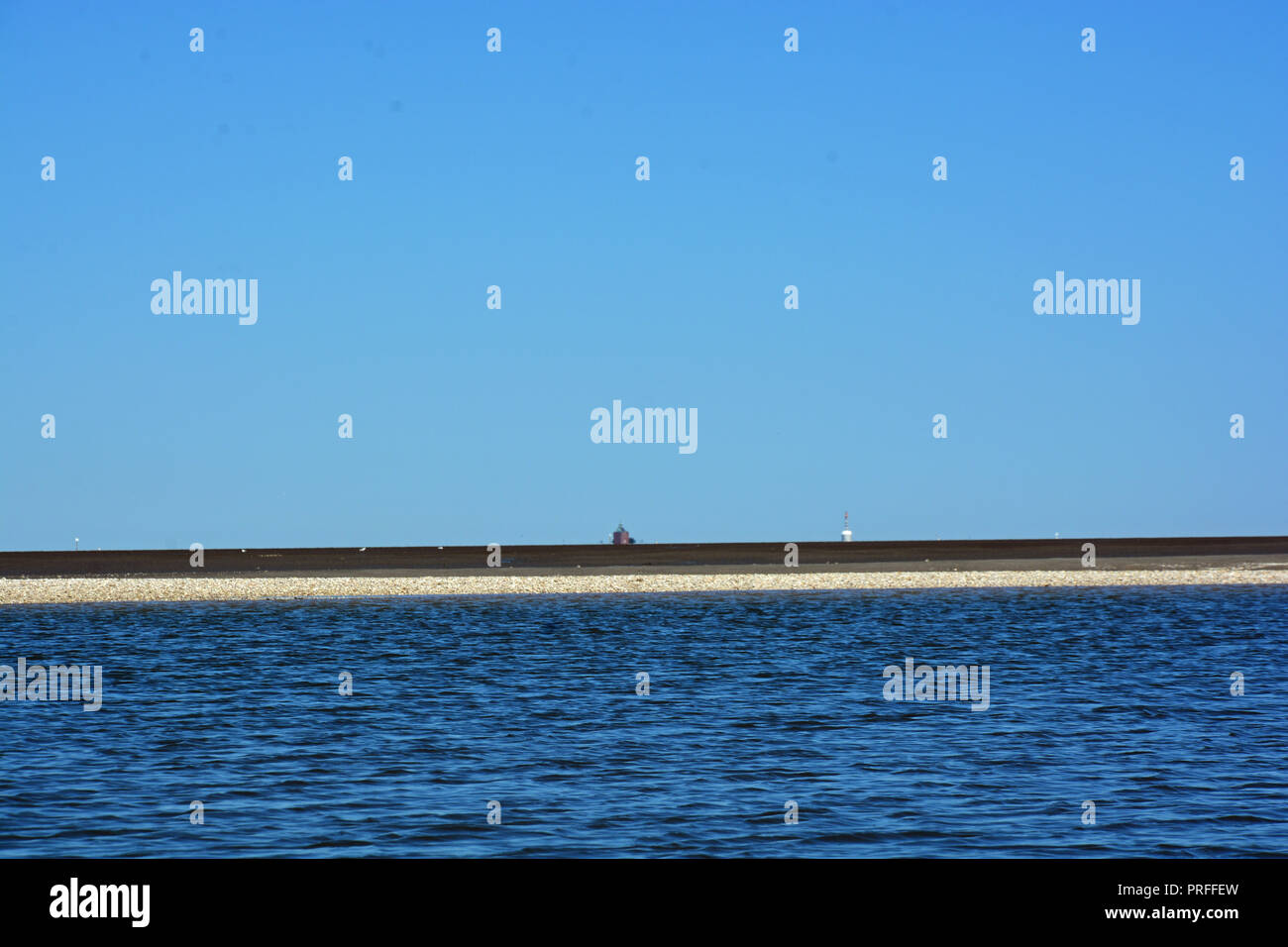 Wattenmeer Muschelbank Hintergrund Foto Stock
