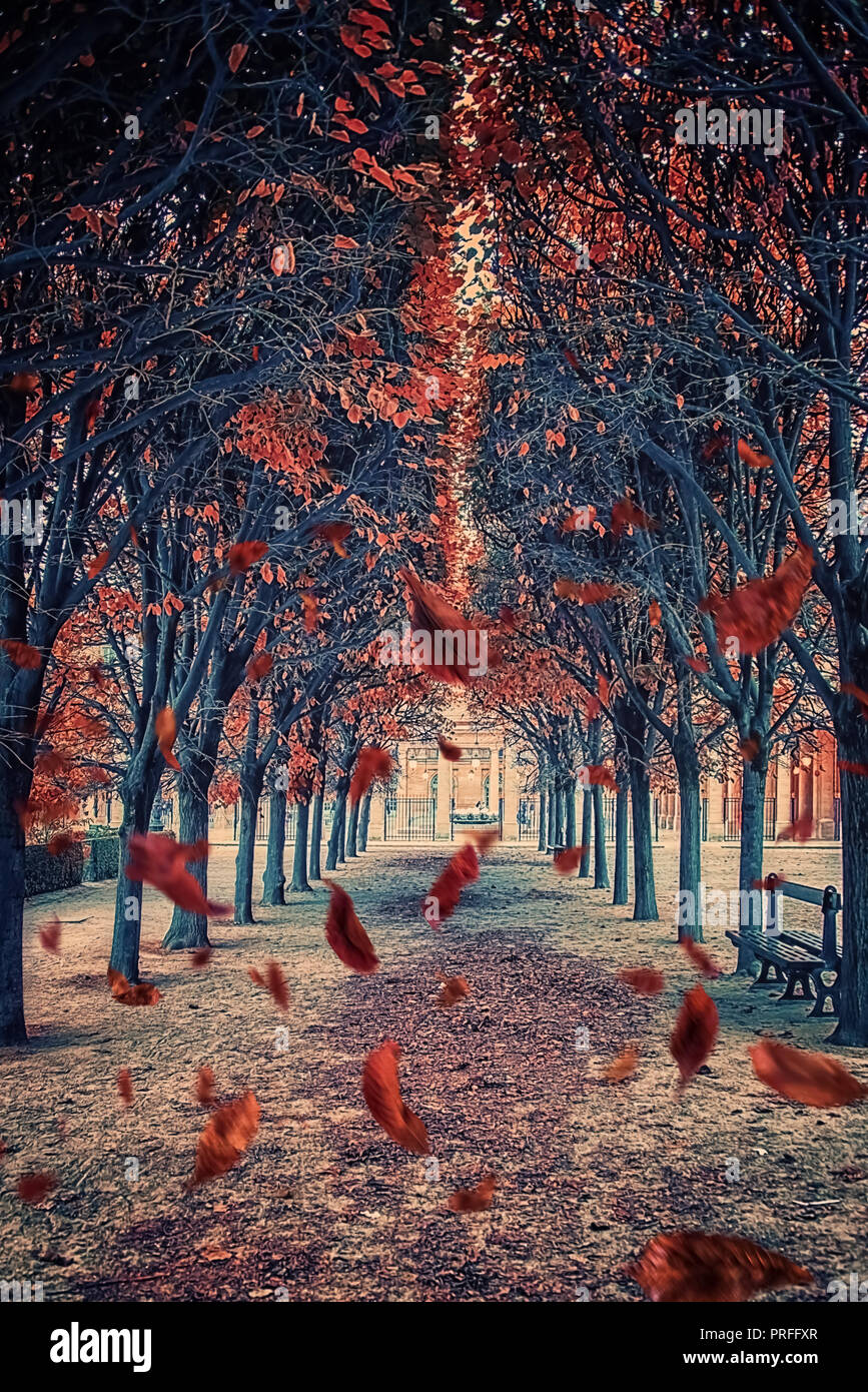 Le foglie che cadono nel parco di Parigi Foto Stock