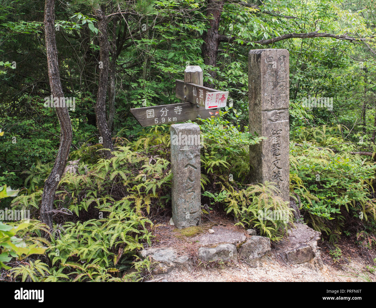 I montanti di guida e posare il marker, henro no Michi pellegrino trail, tra Senyuji e Kokubunji, 88 tempio pellegrinaggio, Ehime Shikou, Giappone Foto Stock