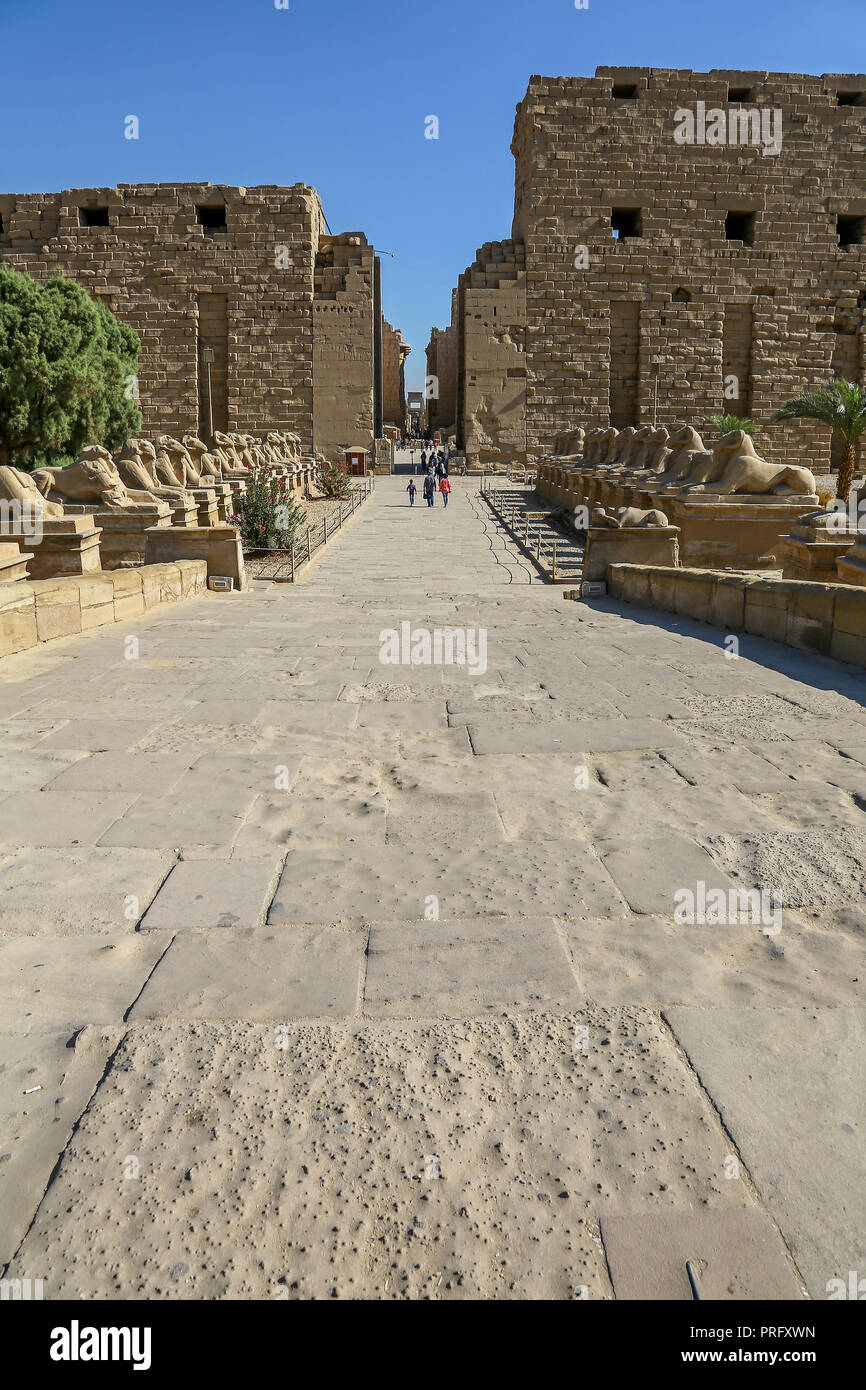 Testa di ariete sfingi al complesso del Tempio di Karnak, comunemente noto come Karnak, un vasto mix di cariati, templi e altri edifici a Luxor, Egitto Foto Stock