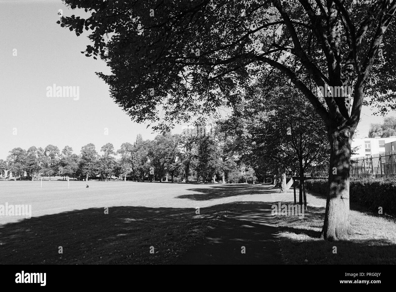 Markfield (Park, Sud Tottenham, North London REGNO UNITO, nella tarda estate Foto Stock