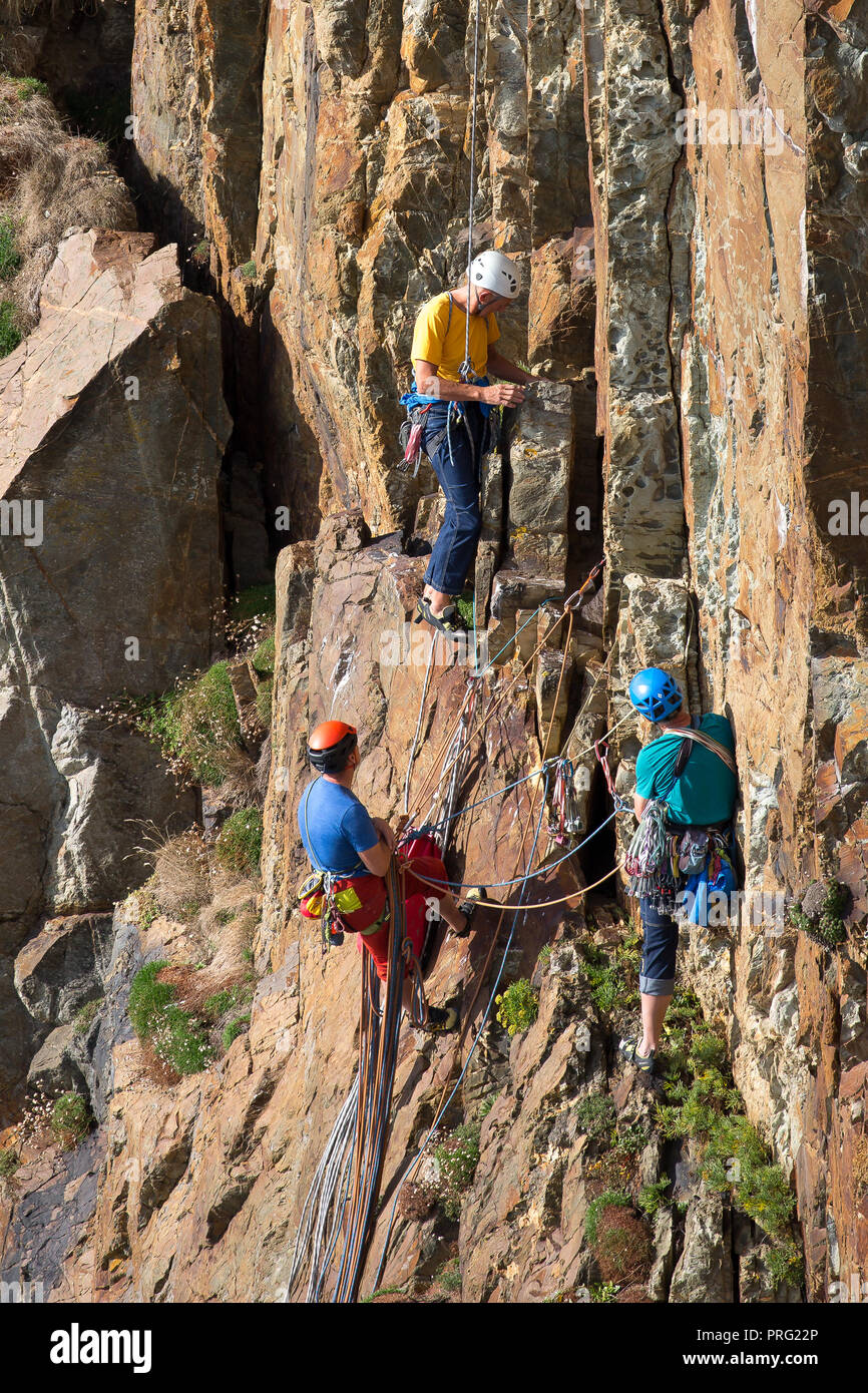 Ritratto cattura, tre uomini godendo di sfida di sport estremo attività: la discesa in corda doppia e le arrampicate su roccia su rockface a sud scogliere di stack, Anglesey, Regno Unito. Foto Stock