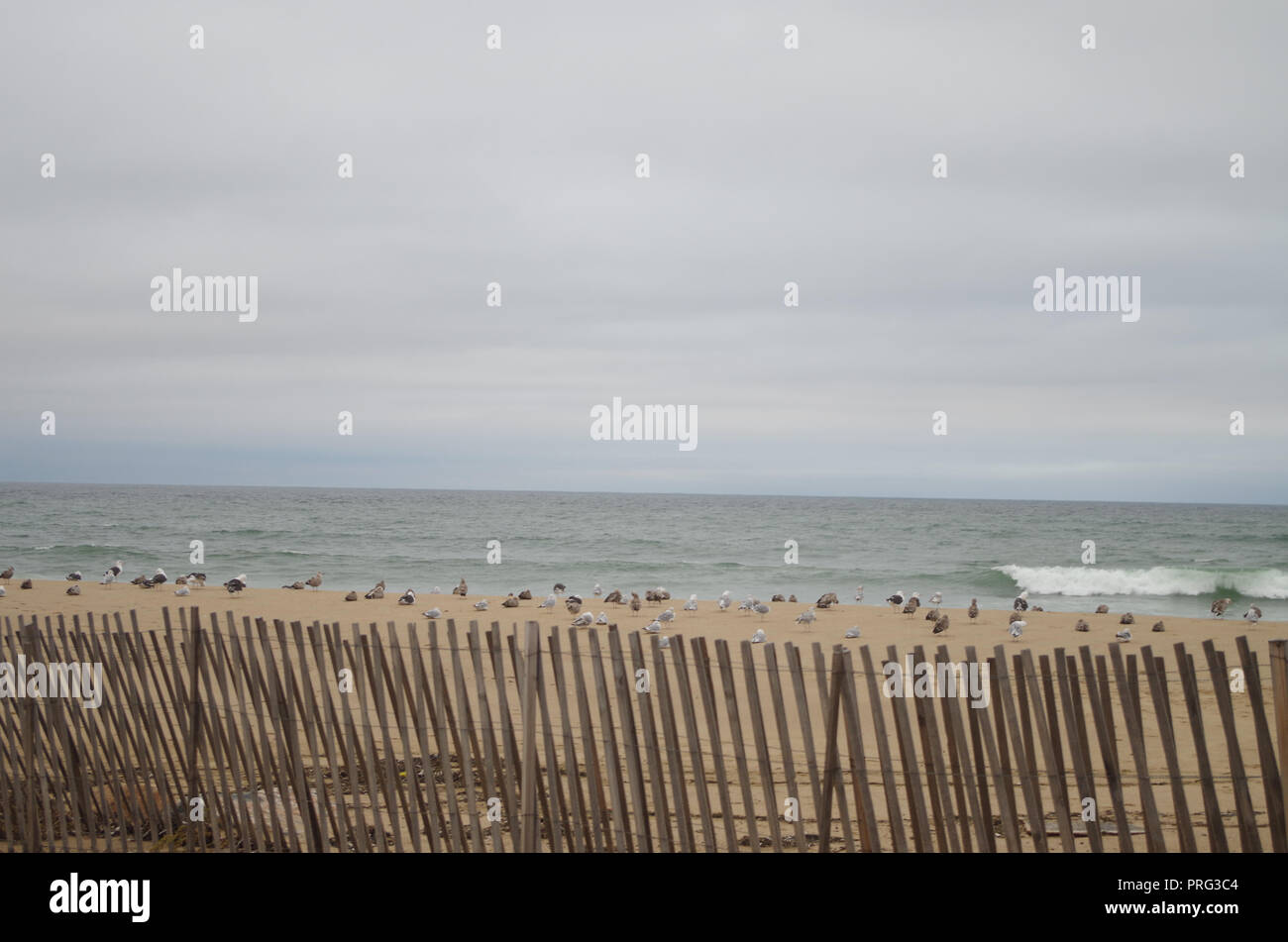 Ballard's Beach su Block Island, Rhode Island, STATI UNITI D'AMERICA Foto Stock
