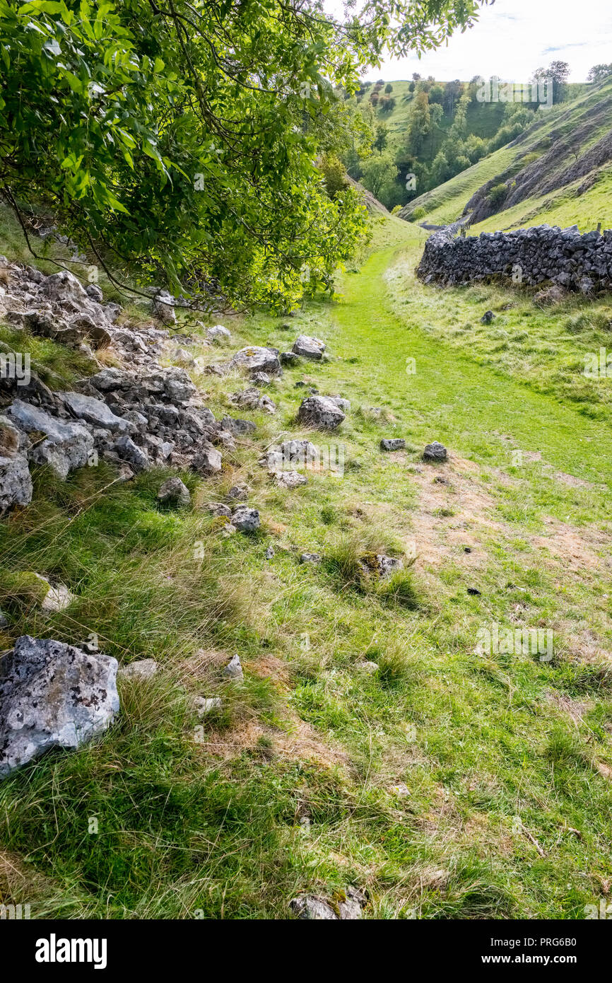 Hall Dale che conduce a Dovedale nel Parco Nazionale di Peak District, Derbyshire Foto Stock