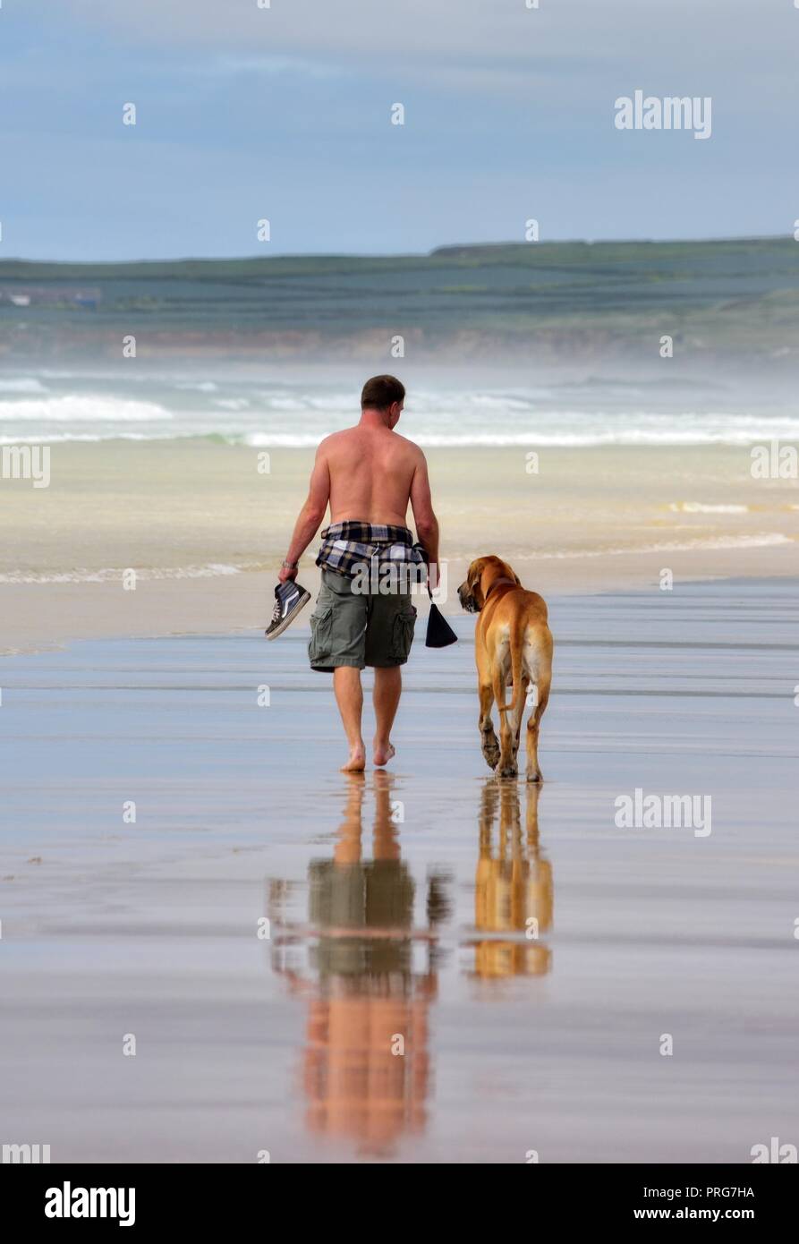 Un uomo prendendo un cane grande per camminare lungo la spiaggia a Perranporth,Cornwall,l'Inghilterra,UK Foto Stock