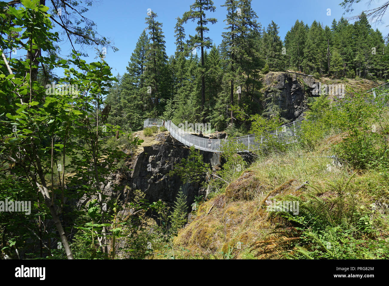 Elk Falls ponte di sospensione, l'isola di Vancouver, Canada Foto Stock