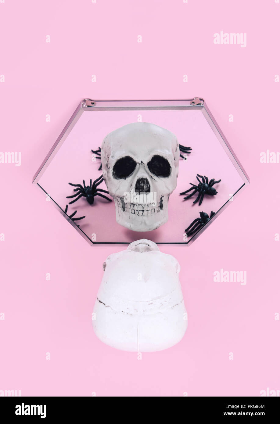 Teschio sul trendy rosa pastello sfondo. Foto Stock