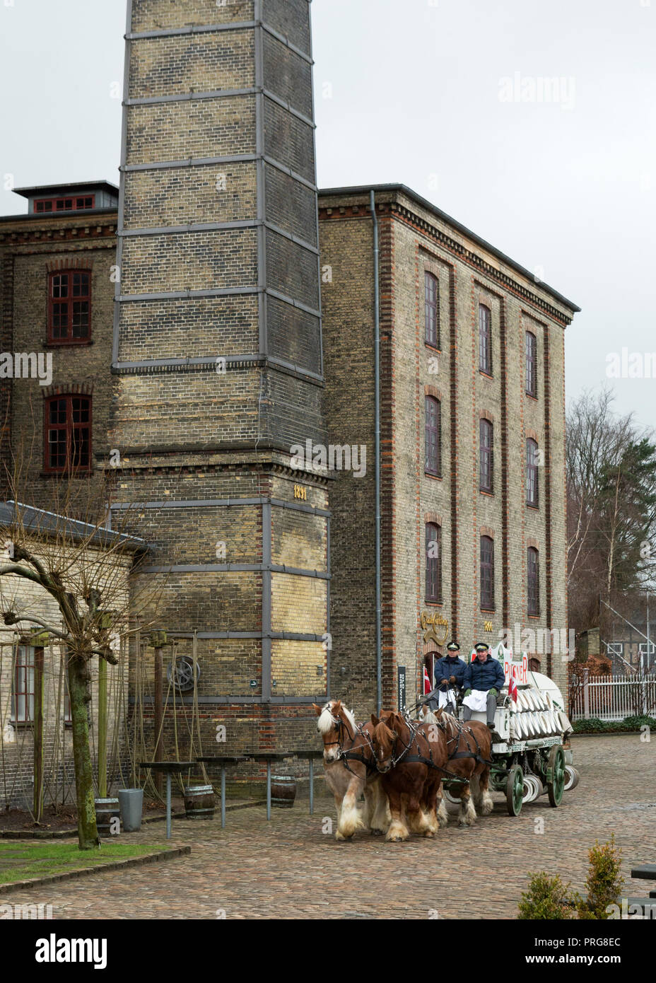 Heavy progetto progetto Jutland rare cavalli lavorando alla storica fabbrica di birra Carlsberg, Copenhagen, Danimarca Foto Stock