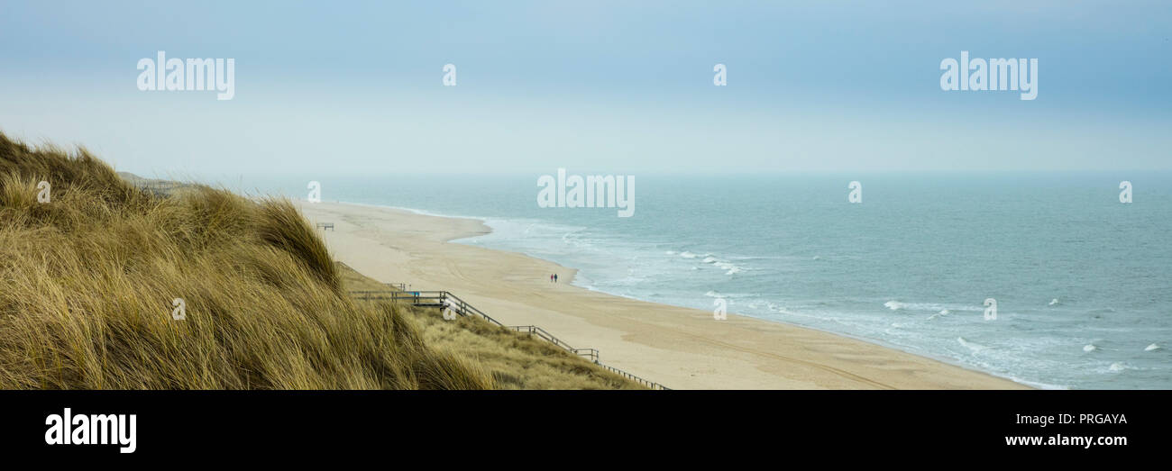 Paesaggio di dune al litorale, Sylt, Nord isola frisone, Frisia settentrionale, Schleswig-Holstein, Germania, Europa Foto Stock Paesaggio di dune al litorale, Sylt, Nord isola frisone, Frisia settentrionale, Schleswig-Holstein, Germania, Europa Foto Stock