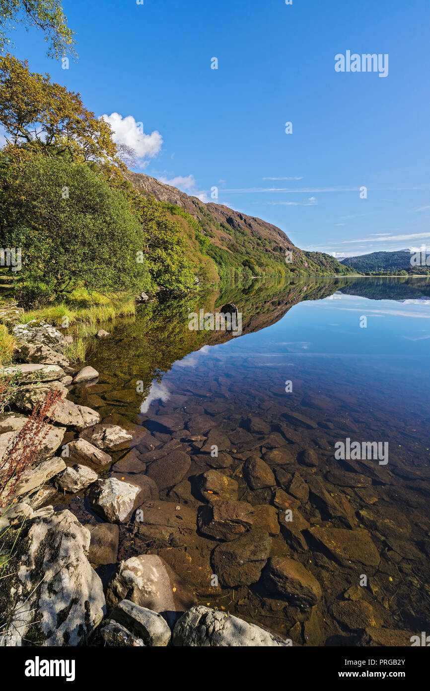 Riflessioni in Llyn Dinas in Nant Gwynant Valley vicino a Beddgelert Snowdonia National Park North Wales UK Settembre 0830 Foto Stock