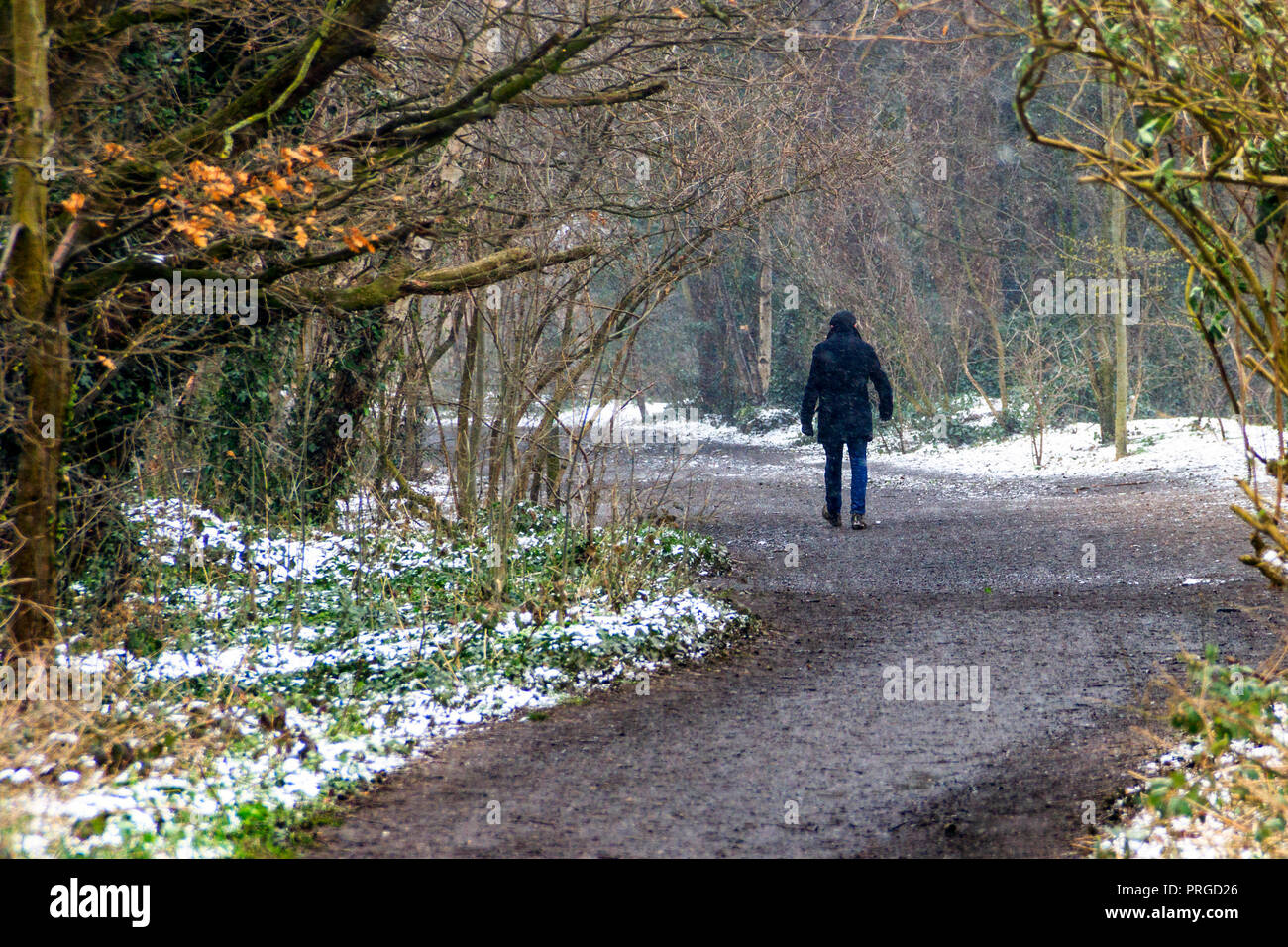 Un uomo che cammina lungo il Parco a piedi, una riserva naturale a nord di Londra, in un giorno di neve Foto Stock