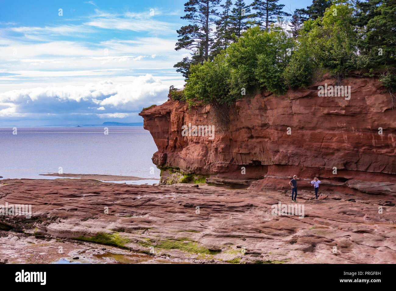 Testa BURNTCOAT PARK, Nova Scotia, Canada - persone di visualizzare la Baia di Fundy bassa marea. Burntcoat è luogo di più alta del mondo delle maree. Foto Stock