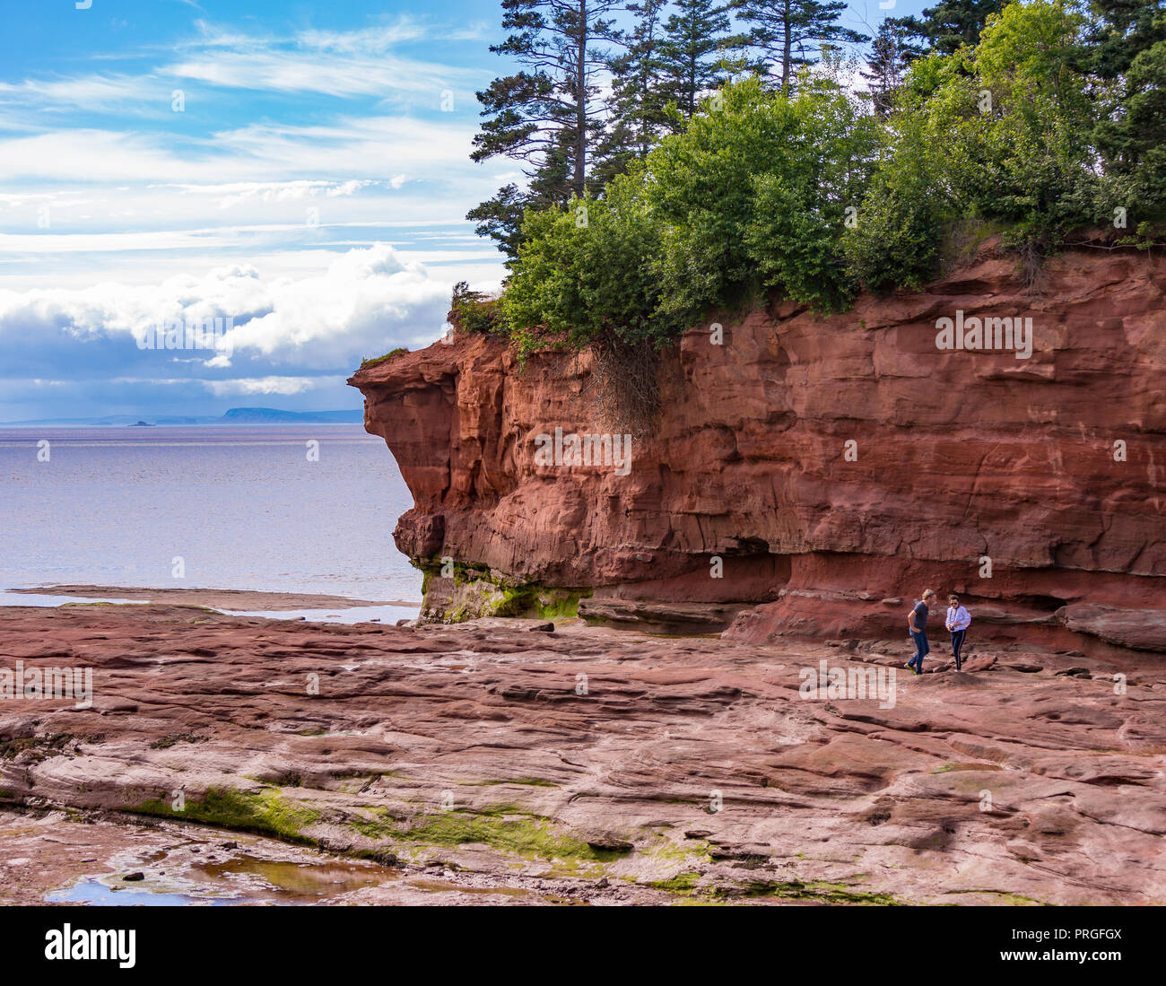 Testa BURNTCOAT PARK, Nova Scotia, Canada - persone di visualizzare la Baia di Fundy bassa marea. Burntcoat è luogo di più alta del mondo delle maree. Foto Stock