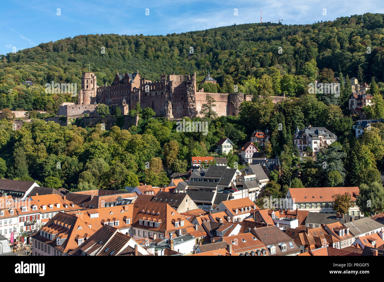 Vista sulla città vecchia di Heidelberg, con il castello di Heidelberg, Neckar, Germania Foto Stock