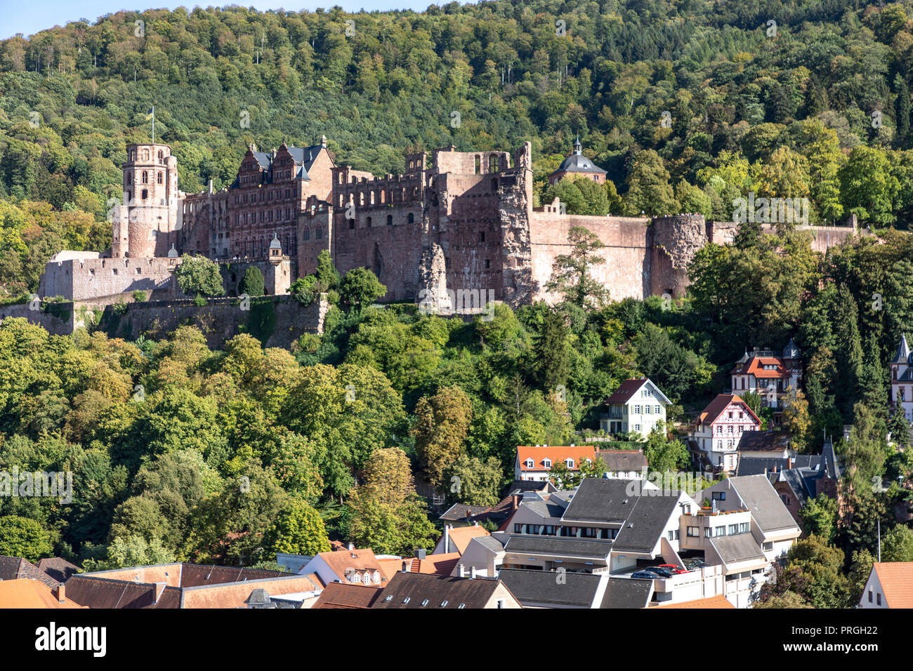 Vista sulla città vecchia di Heidelberg, con il castello di Heidelberg, Neckar, Germania Foto Stock