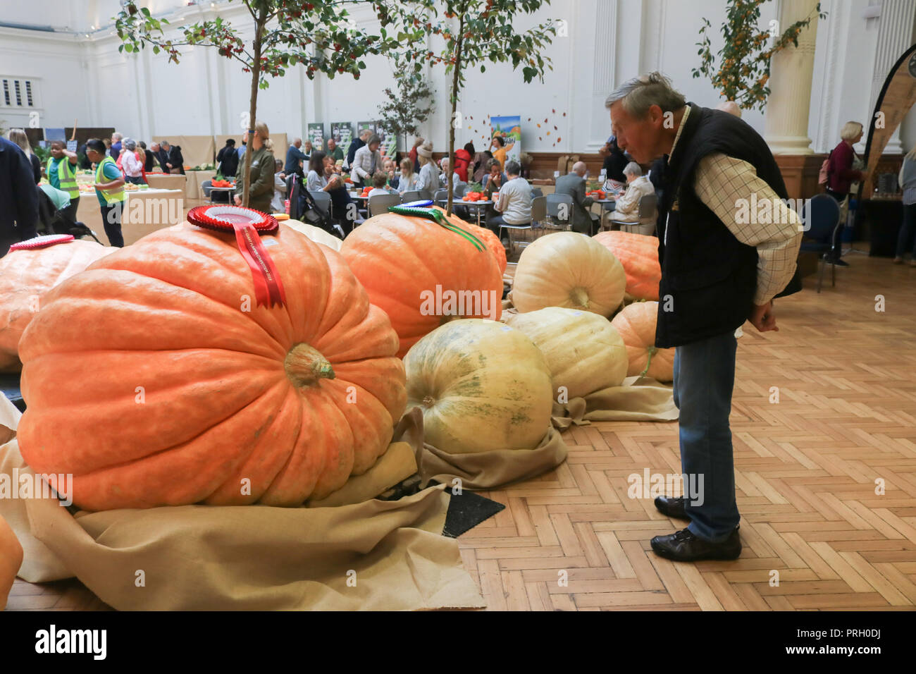 Londra REGNO UNITO. Il 3 ottobre 2018. L'(RHS) Royal Horticultural autunno mostra in Westminster apre al pubblico con i coltivatori da tutto il Regno Unito che presentano le loro generose produrre annualmente nelle frutta e verdura credito concorrenza: amer ghazzal/Alamy Live News Foto Stock