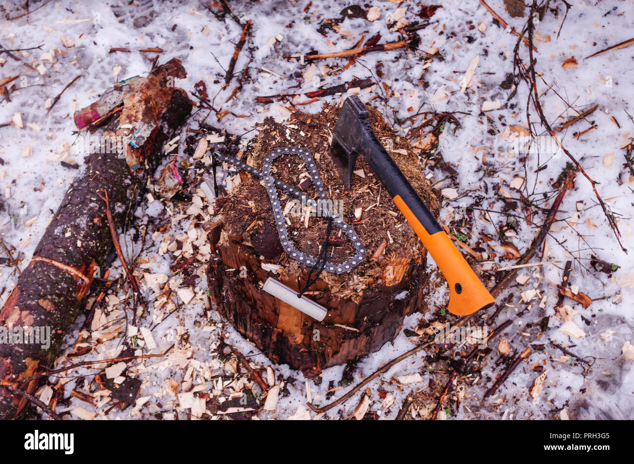 Scandinavian ax. Swedish ax. Una sharp ax con un manico di plastica. Parte superiore. Foto Stock