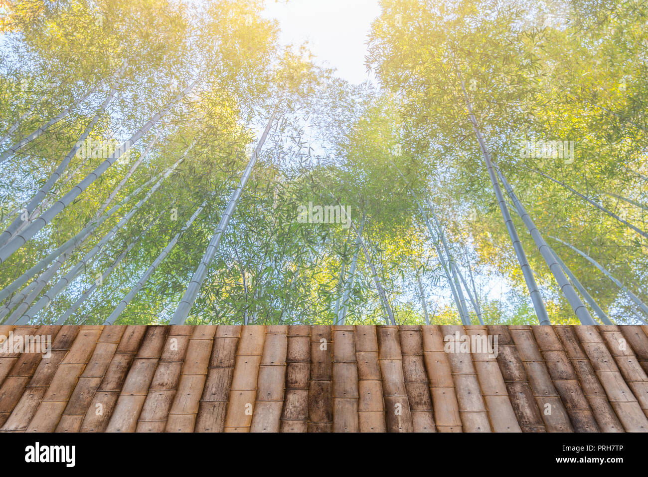 Foresta di bamboo grove sfondo con tavolo in legno per il display del prodotto. Foto Stock