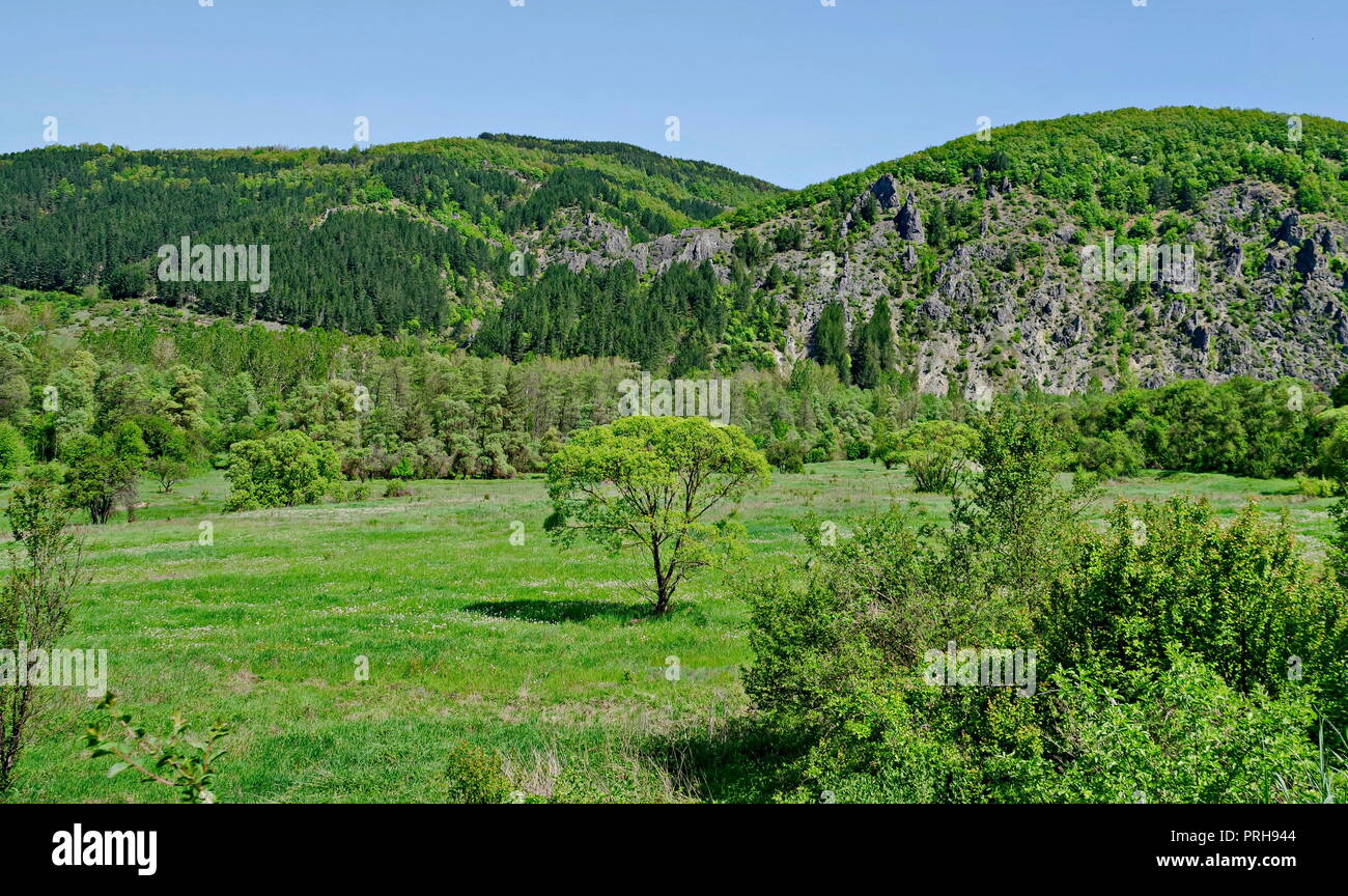 Verde primavera foresta, rock, glade e Valle del Lozen mountain, vicino al villaggio di Pasarel, Bulgaria Foto Stock
