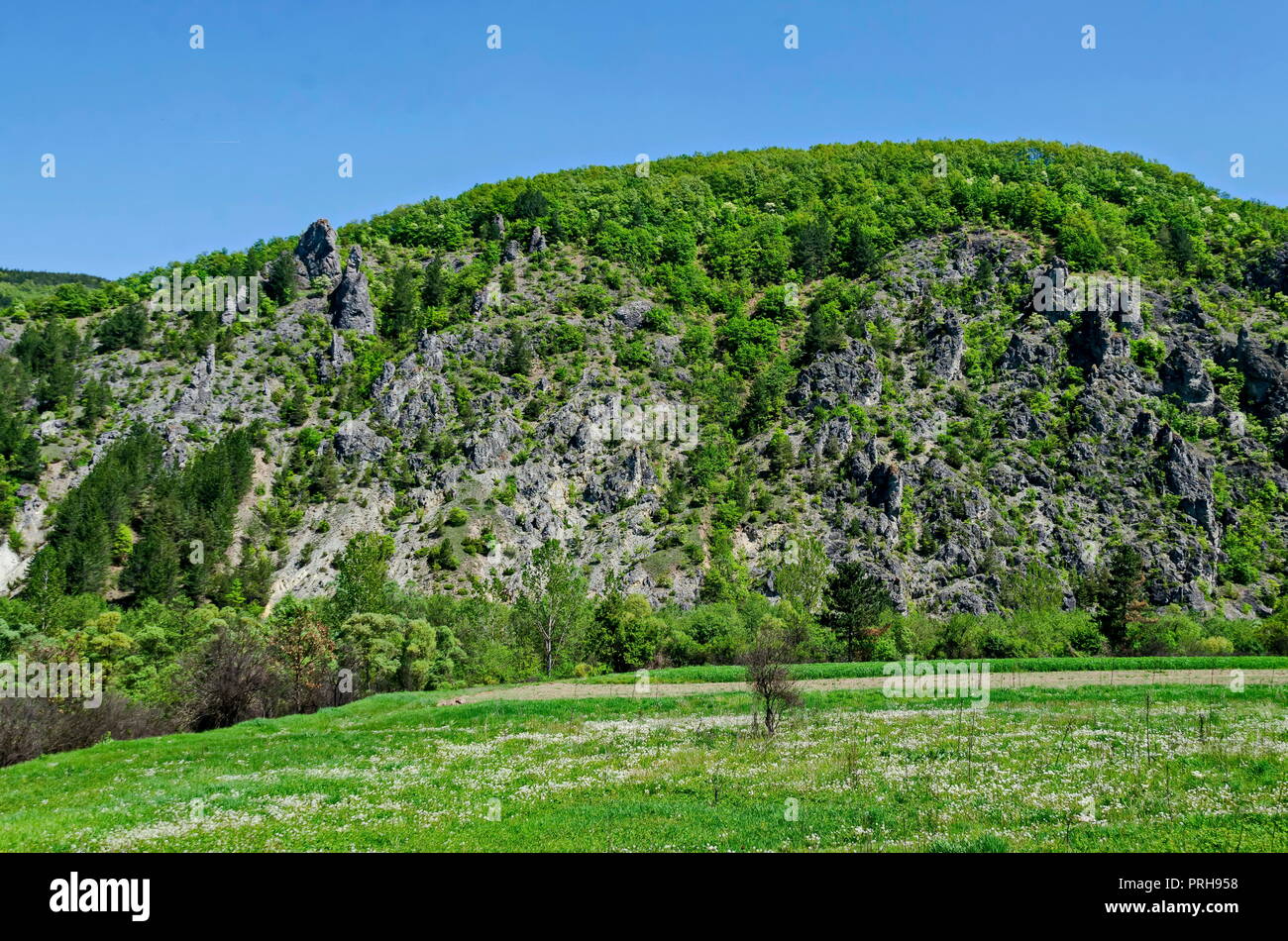 Verde primavera foresta, rock, glade e Valle del Lozen mountain, vicino al villaggio di Pasarel, Bulgaria Foto Stock