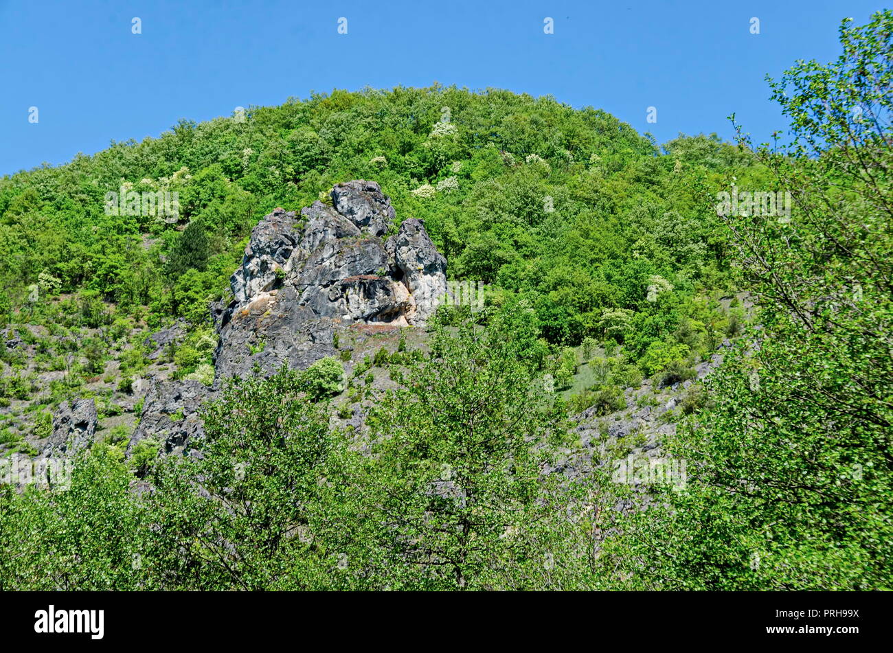 Verde primavera foresta, rock, glade e Valle del Lozen mountain, vicino al villaggio di Pasarel, Bulgaria Foto Stock
