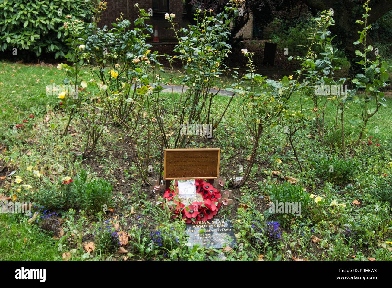Targa per i soldati della Birmania a Holly Sepolchre Northampton rose rosse di Poppy fiori storia piantato croce attraversa il giardino esterno Foto Stock