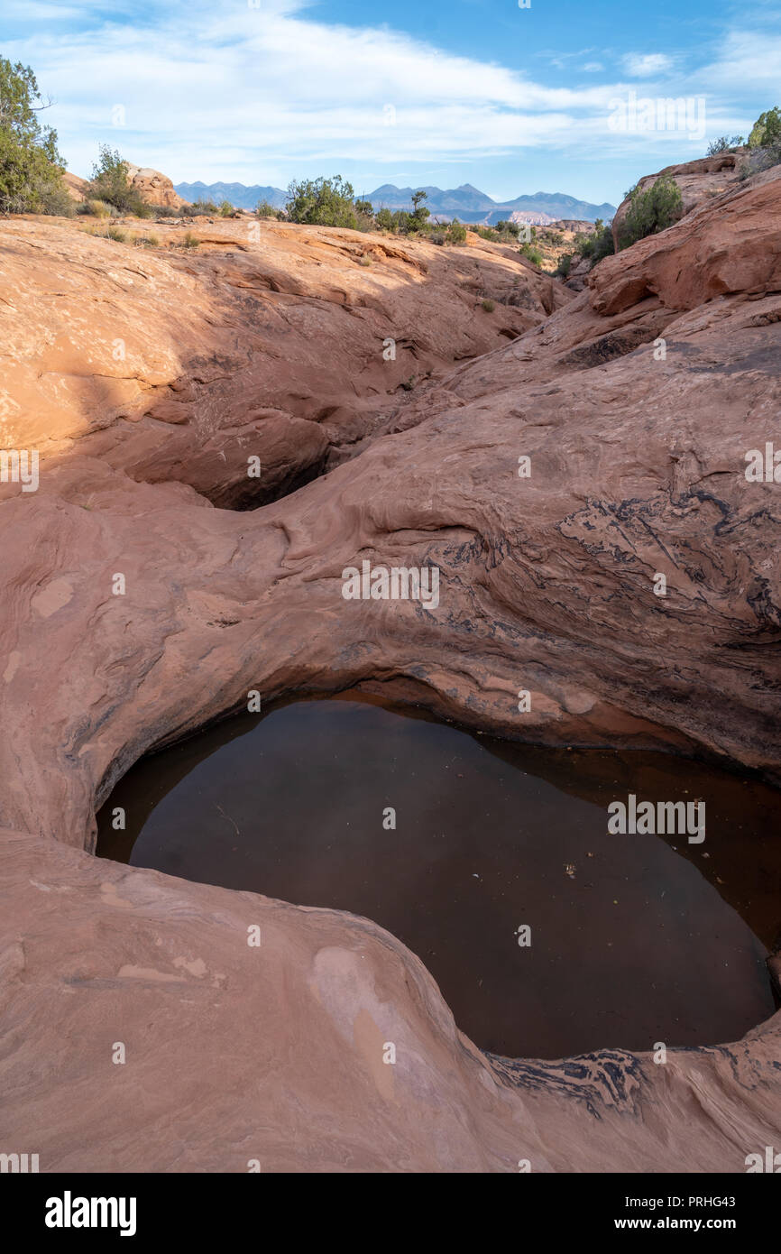 Acqua raccolto in pool lungo un flusso basso. Pietrificate dune di sabbia, il Parco Nazionale di Arches, Utah Foto Stock