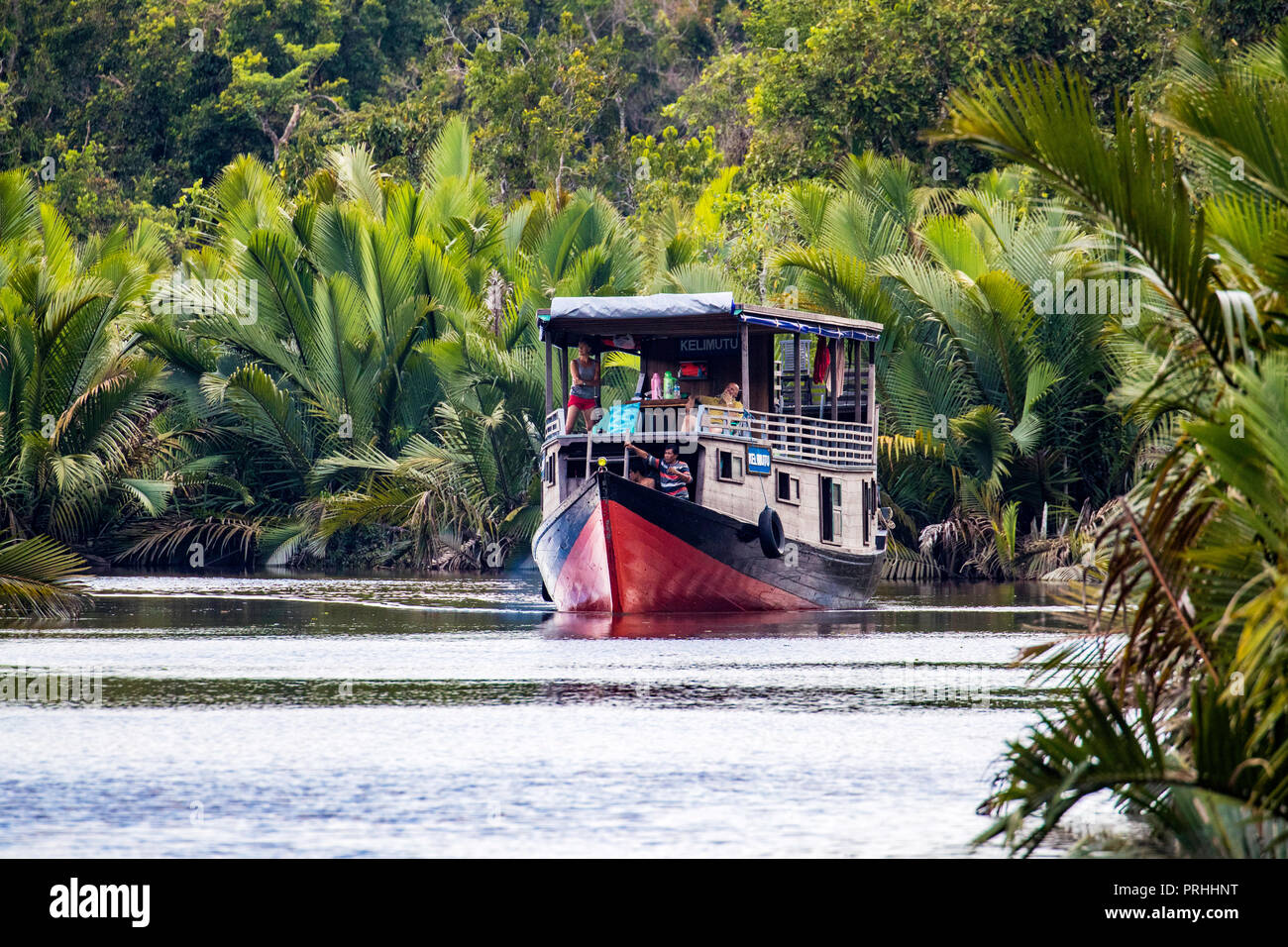 Klotok (tour in barca) che si muove in basso lungo il fiume Sekonyer, Tanjung messa National Park, Borneo, Indonesia. Foto Stock