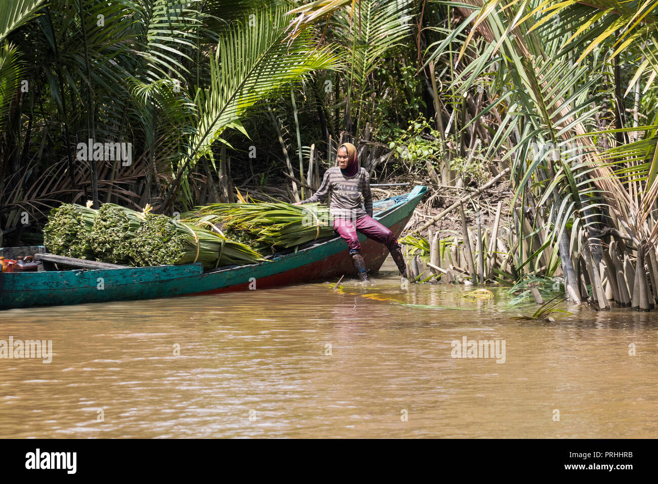 Locale con il taglio della vegetazione sul fiume Sekonyer, Tanjung messa National Park, Borneo, Indonesia. Foto Stock