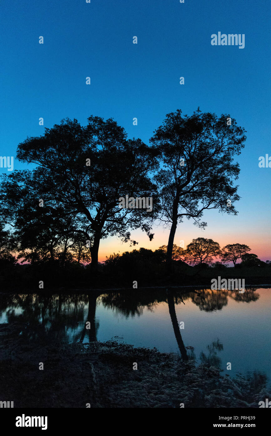 Twilight sull'acqua a Pouso Alegre Fazenda, Mato Grosso, Pantanal, Brasile. Foto Stock