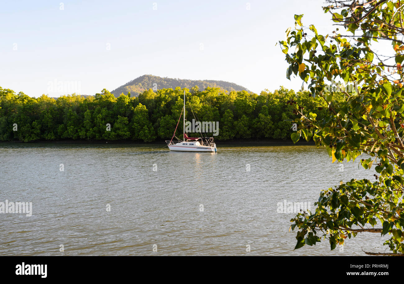 Barca a vela ancorata sul Fiume Barron Machan off's Beach, Cairns, estremo Nord Queensland, FNQ, QLD, Australia Foto Stock