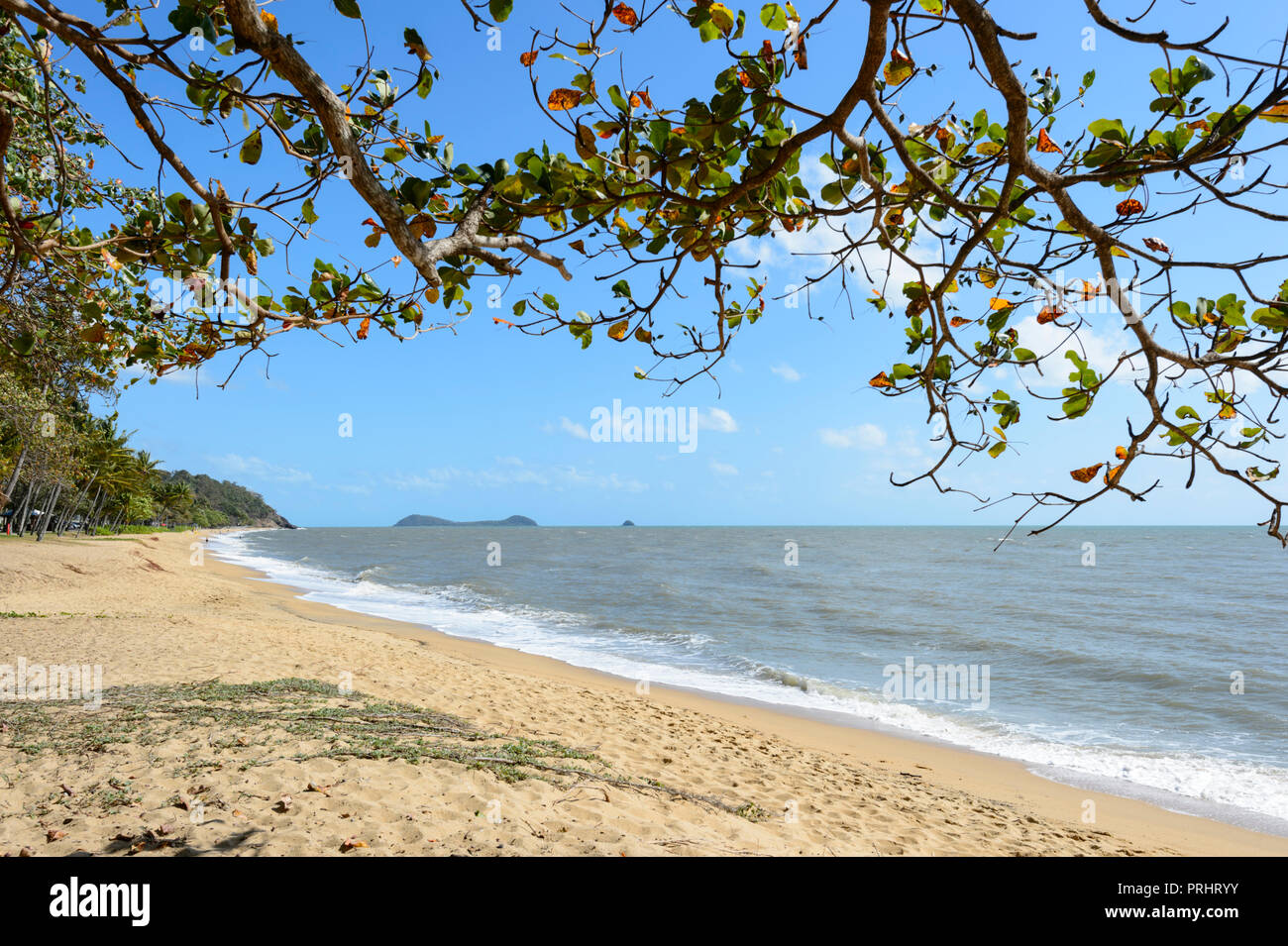 Vista panoramica di Trinity Beach, Cairns Northern Beaches, estremo Nord Queensland, FNQ, QLD, Australia Foto Stock