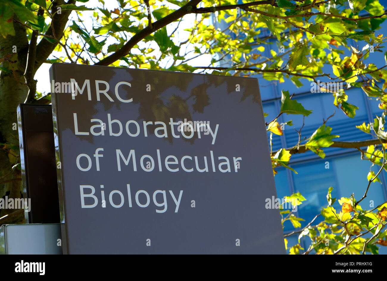 MRC - laboratorio di biologia molecolare, cambridge campus biomedico, Inghilterra Foto Stock