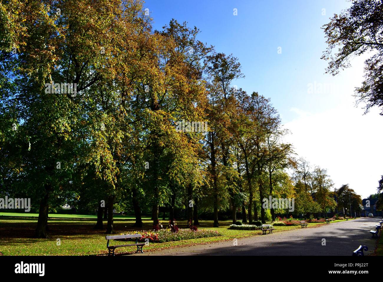 Luminosa, colorata e illuminato naturalmente immagini che mostrano Ropner Park, un tradizionale britannica il parco pubblico vittoriano in Stockton-on-Tees, all'inizio dell'autunno. Foto Stock