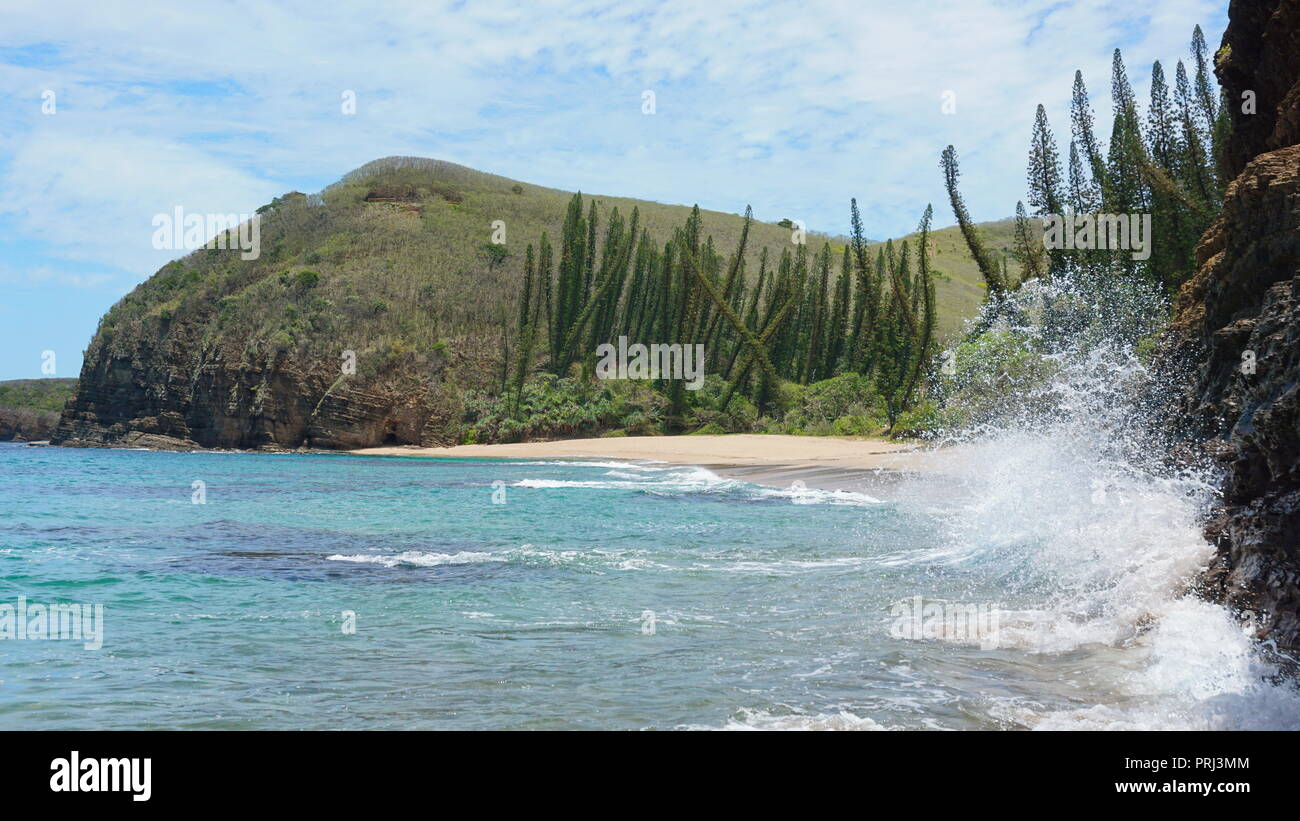 Spiaggia selvaggia con alberi di pino in Nuova Caledonia, Grande Terre isola, Bourail, South Pacific Oceania Foto Stock