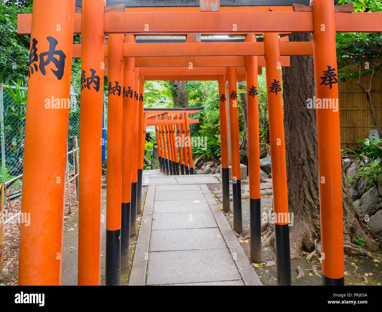Tokyo, Giappone. 10 settembre 2018: un approccio alla Gojyo santuario Tenjin e il Hanazono Inari santuario entro il parco Ueno nelle prime ore del mattino. Foto Stock