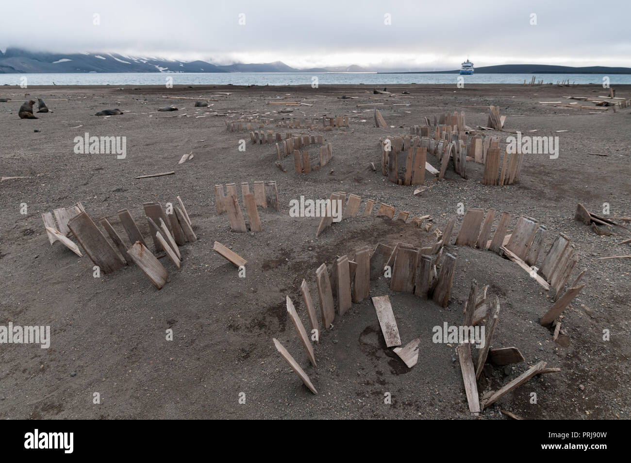 Resti di balena in legno barili di olio, Whalers Bay, isola Deception, Penisola Antartica Foto Stock