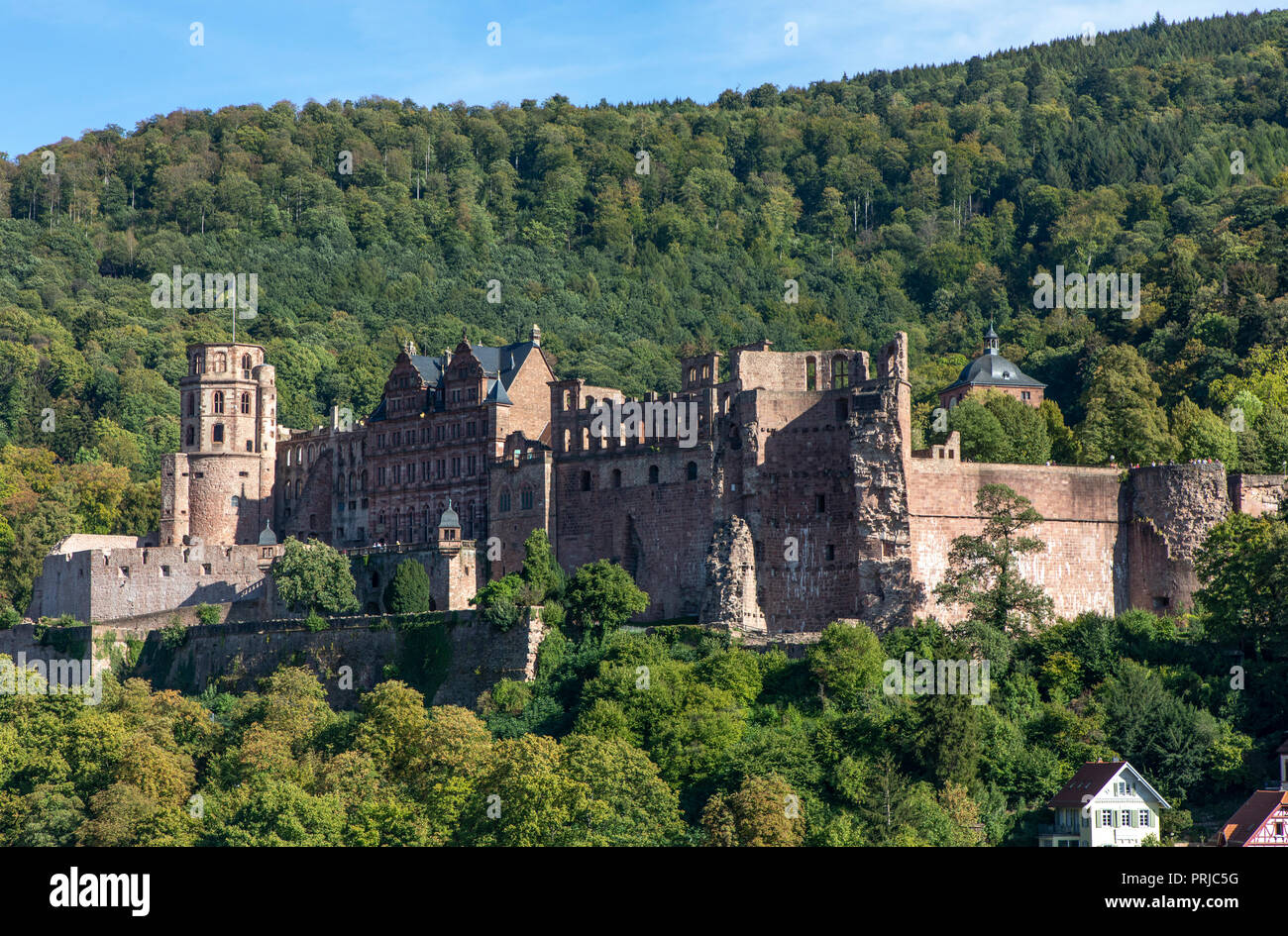Vista sulla città vecchia di Heidelberg, con il castello di Heidelberg, Neckar, Germania Foto Stock