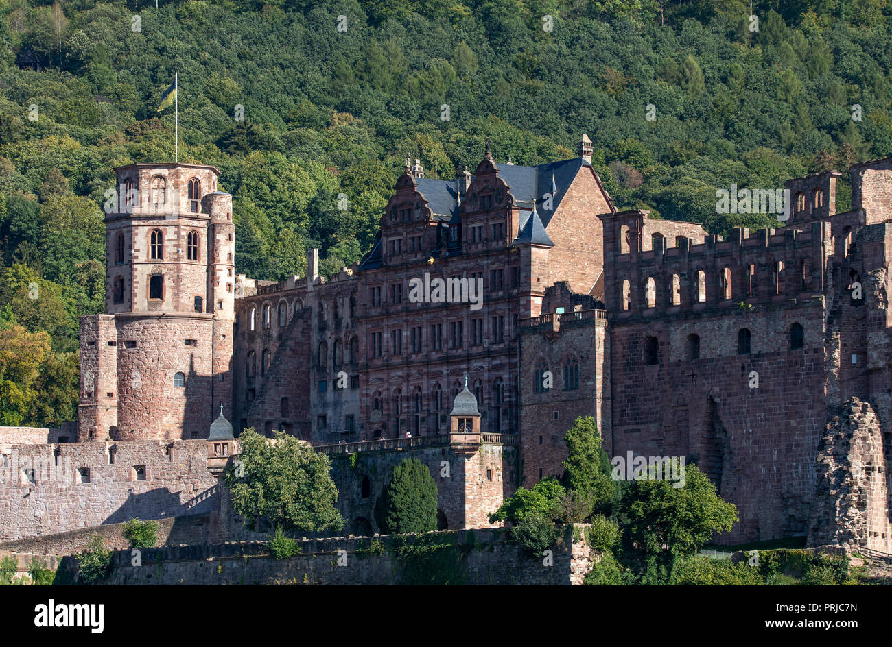 Vista sulla città vecchia di Heidelberg, con il castello di Heidelberg, Neckar, Germania Foto Stock
