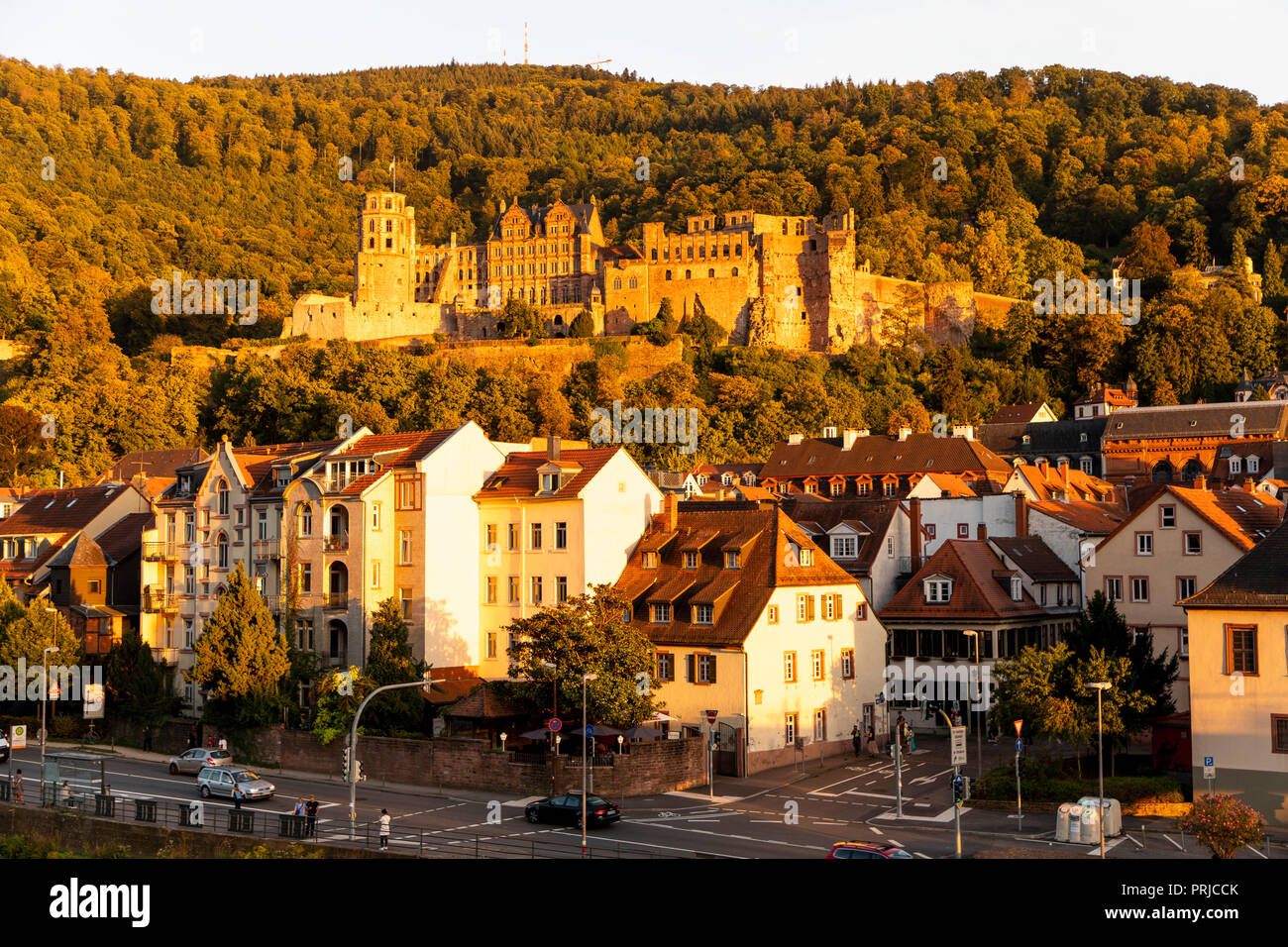 Vista sulla città vecchia di Heidelberg, con il castello di Heidelberg, Neckar, Germania Foto Stock