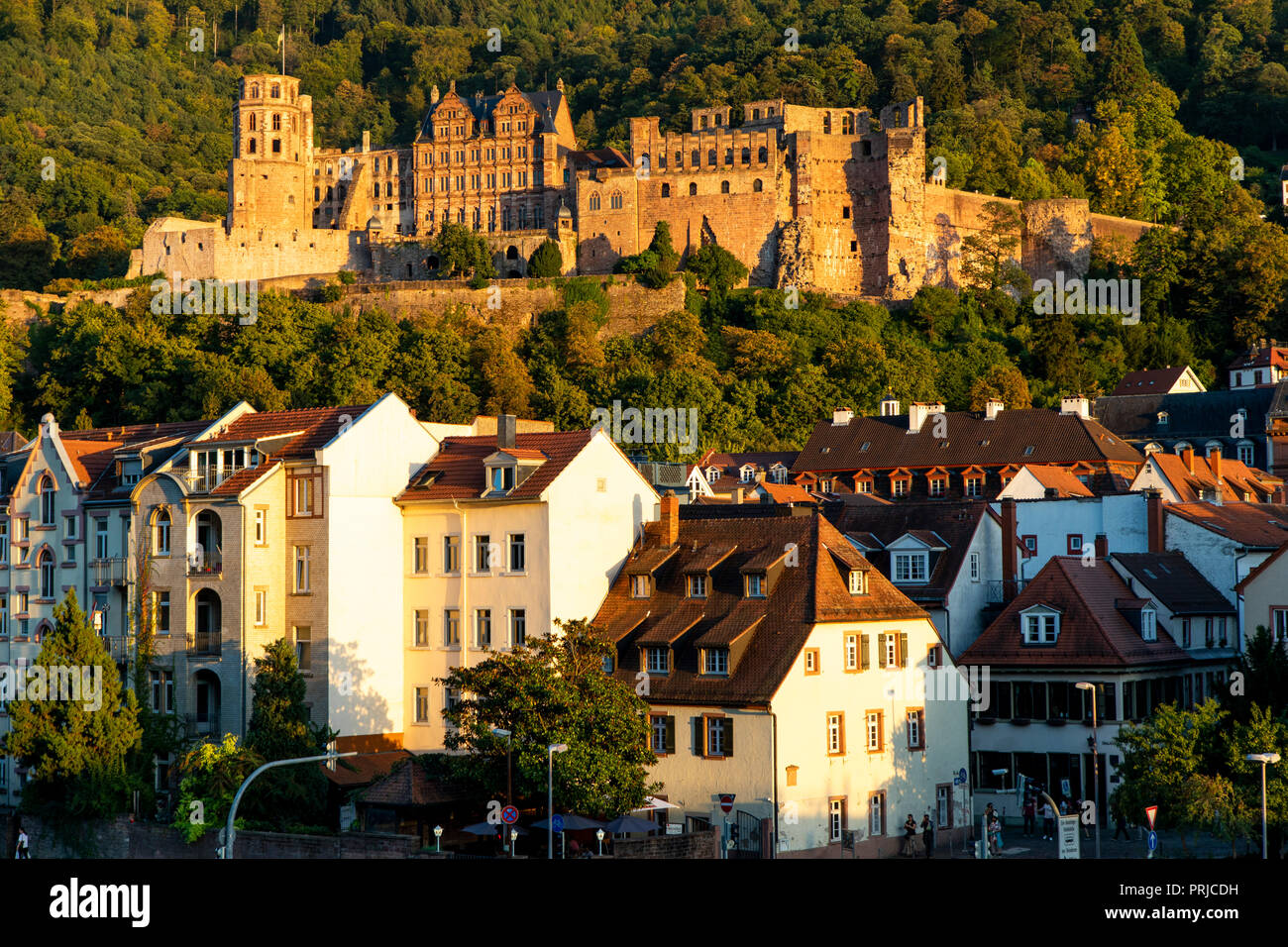 Vista sulla città vecchia di Heidelberg, con il castello di Heidelberg, Neckar, Germania Foto Stock