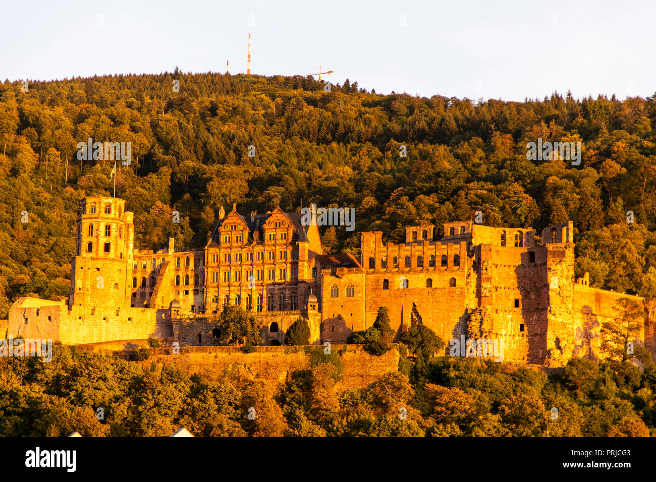 Vista sulla città vecchia di Heidelberg, con il castello di Heidelberg, Neckar, Germania Foto Stock