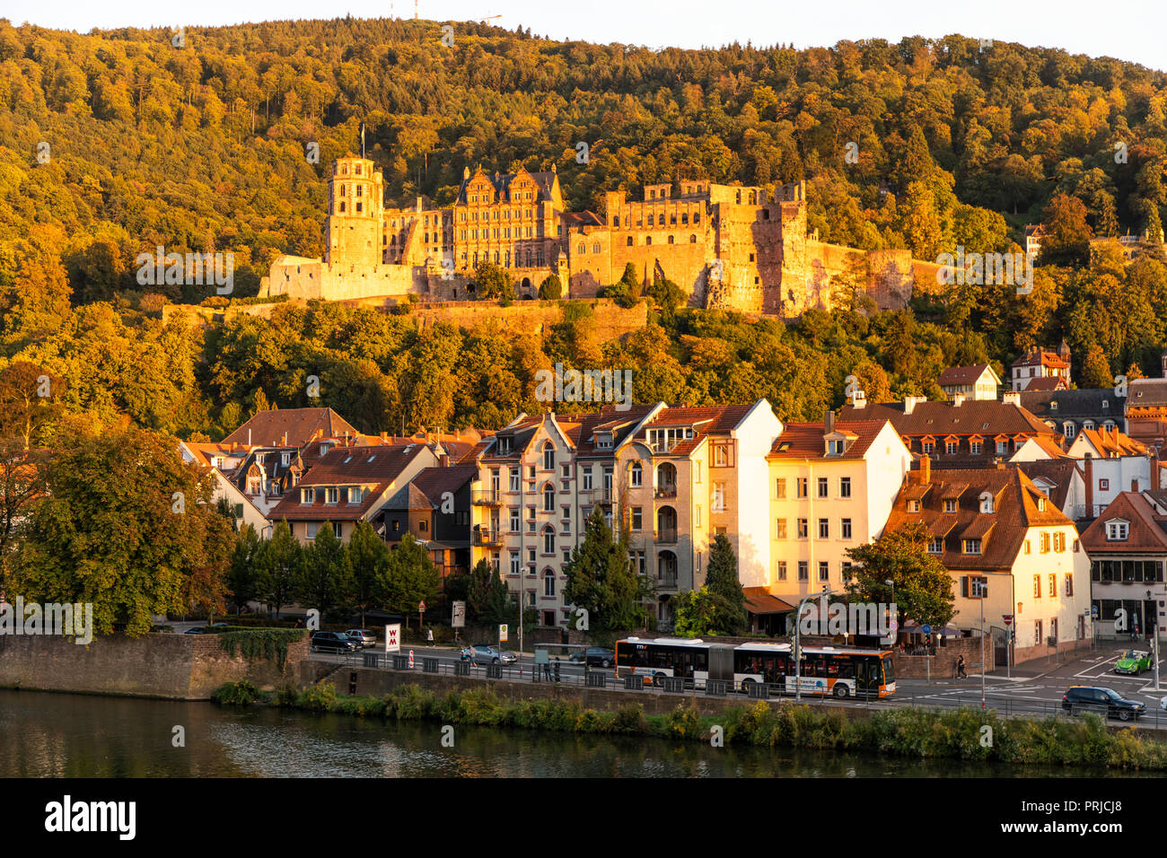 Vista sulla città vecchia di Heidelberg, con il castello di Heidelberg, Neckar, Germania Foto Stock