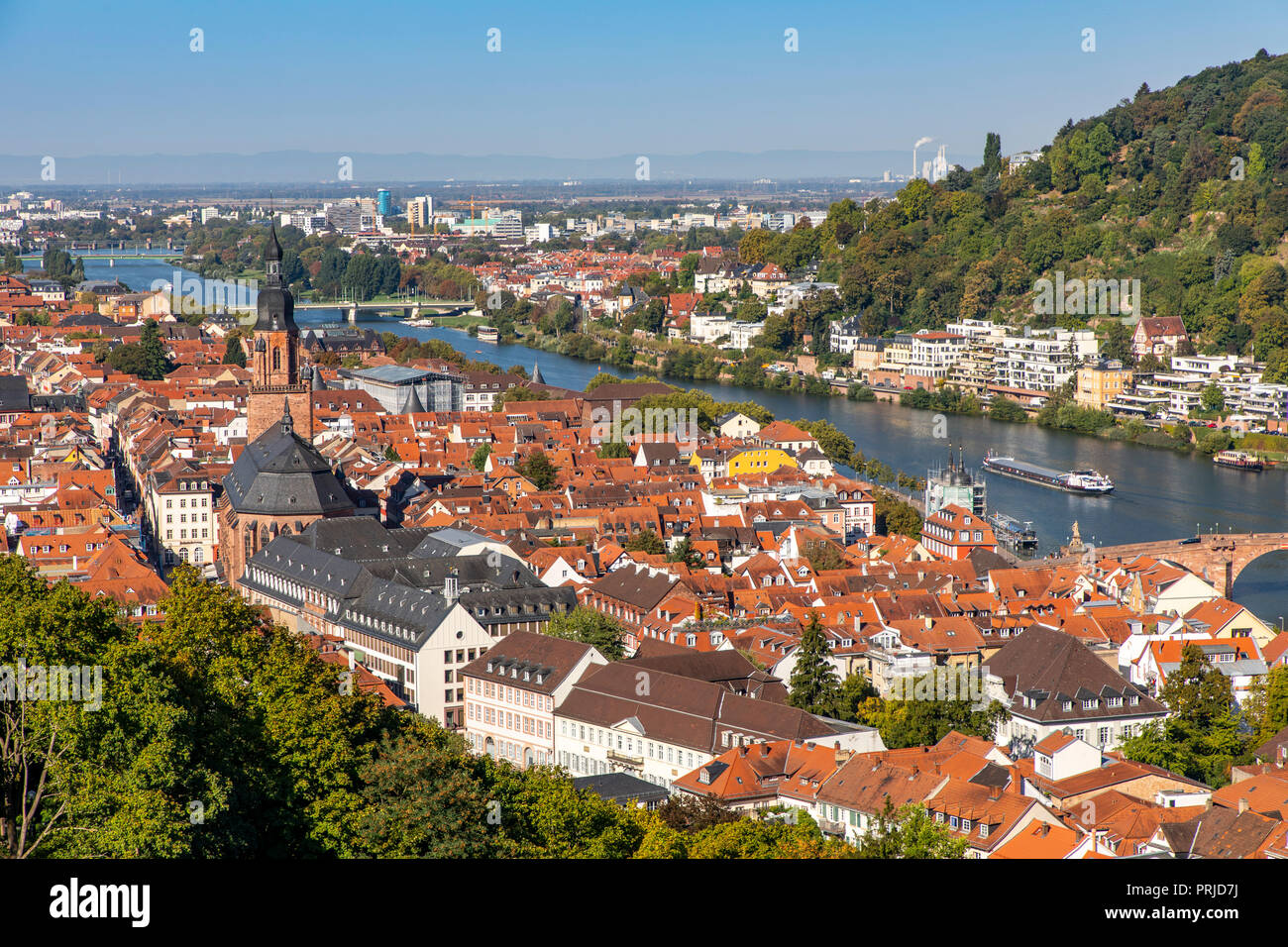 Vista sulla città vecchia di Heidelberg, fiume Neckar, vecchio ponte Neckar, Germania Foto Stock