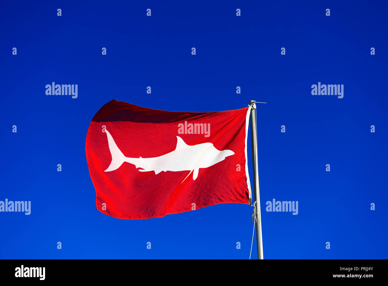 Red Flag segnala ad alta squalo bianco pericolo, Muizenberg, Cape Town, Western Cape, Sud Africa Foto Stock