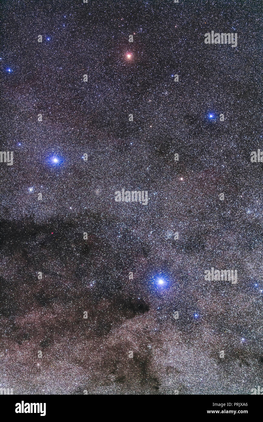 La Croce del Sud incorniciato con un 200mm teleobiettivo. La scena include open star cluster, il Jewel Box (NGC 4755] a sinistra di Beta Cruxis (aka Foto Stock