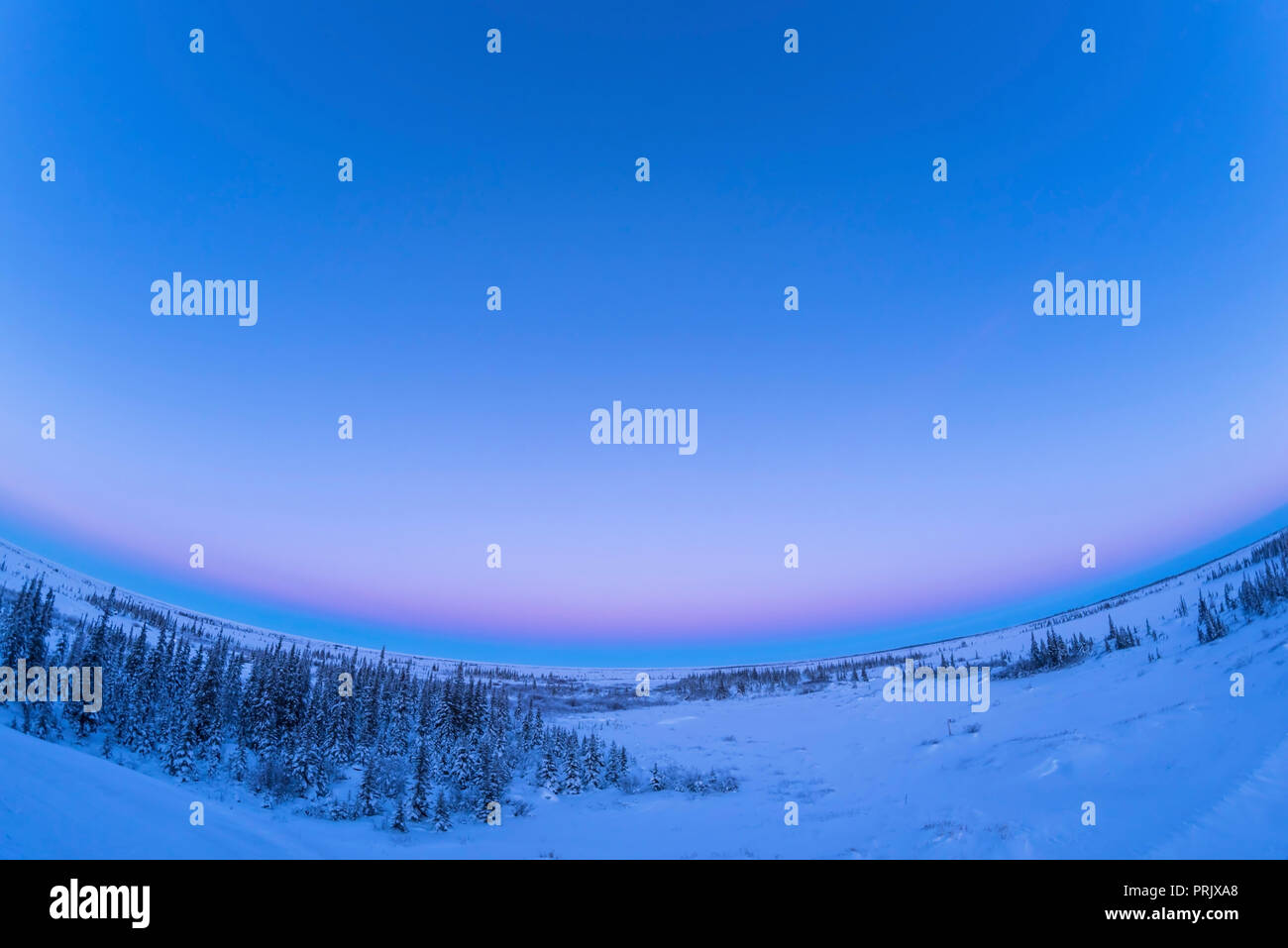 L'ombra della Terra in aumento nel sud-est con th cintura di Venere sopra su una chiara serata al Churchill nord del Centro Studi, Churchill, Manitoba, Foto Stock