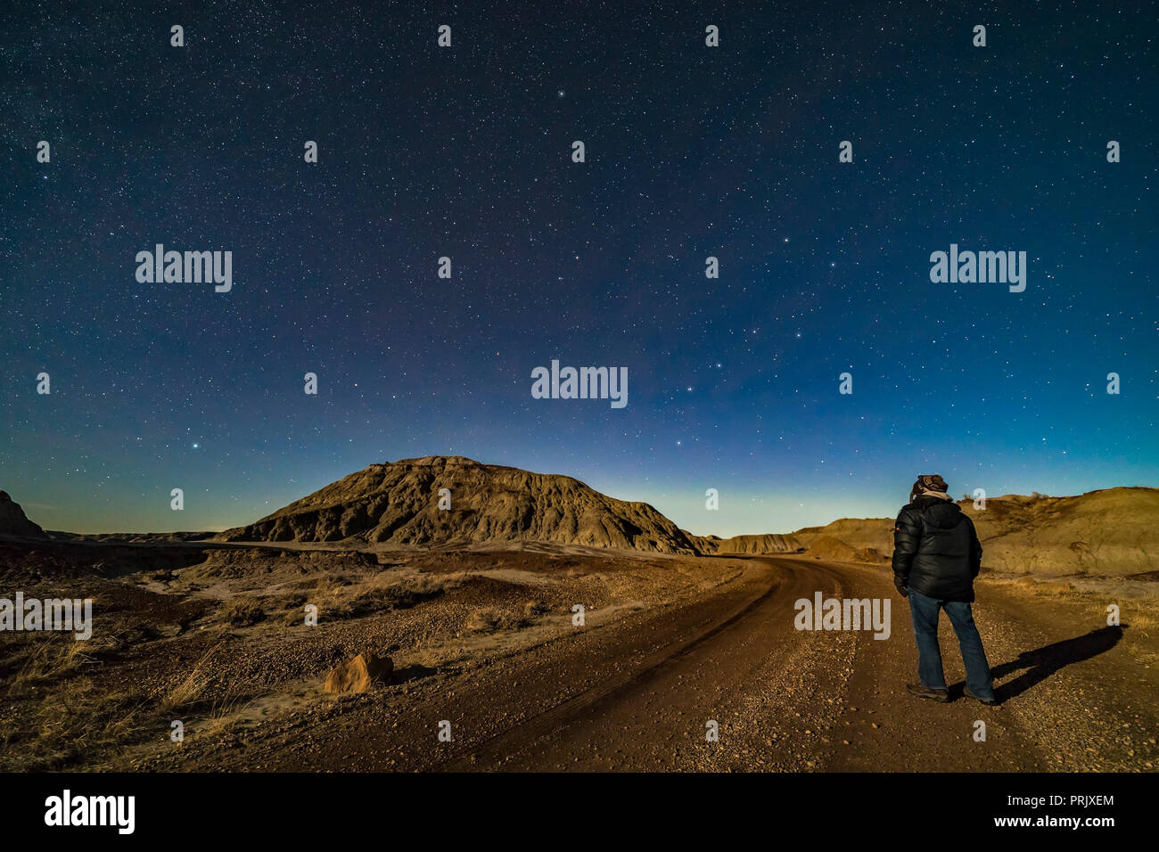 Un selfie guardando a nord per il grande e il piccolo campionatori a immersione presso il Parco Provinciale dei Dinosauri, Alberta, su una chiara notte di luna Novembre 27, 2017. Unità di controllo Polaris è Foto Stock